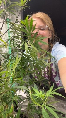 dezbuds