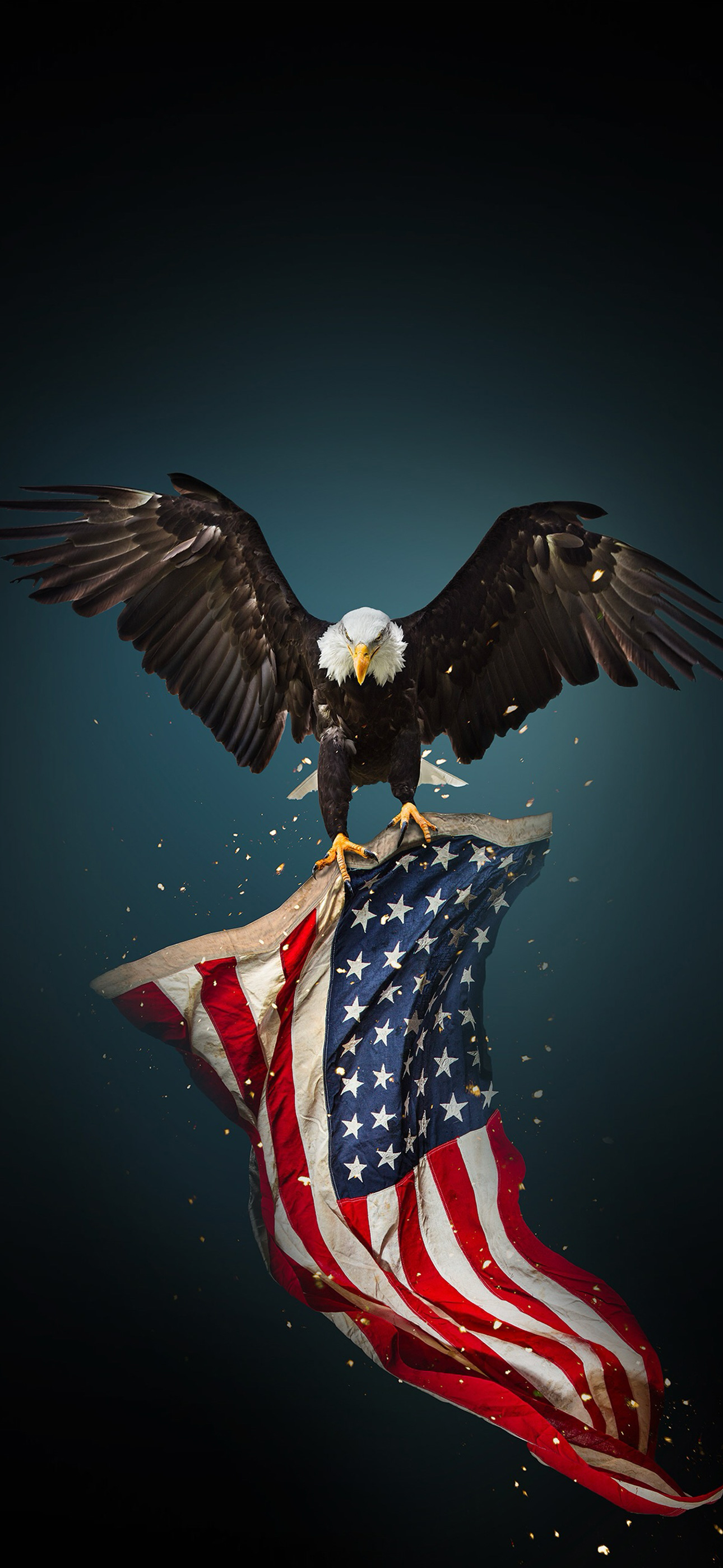usflageagle