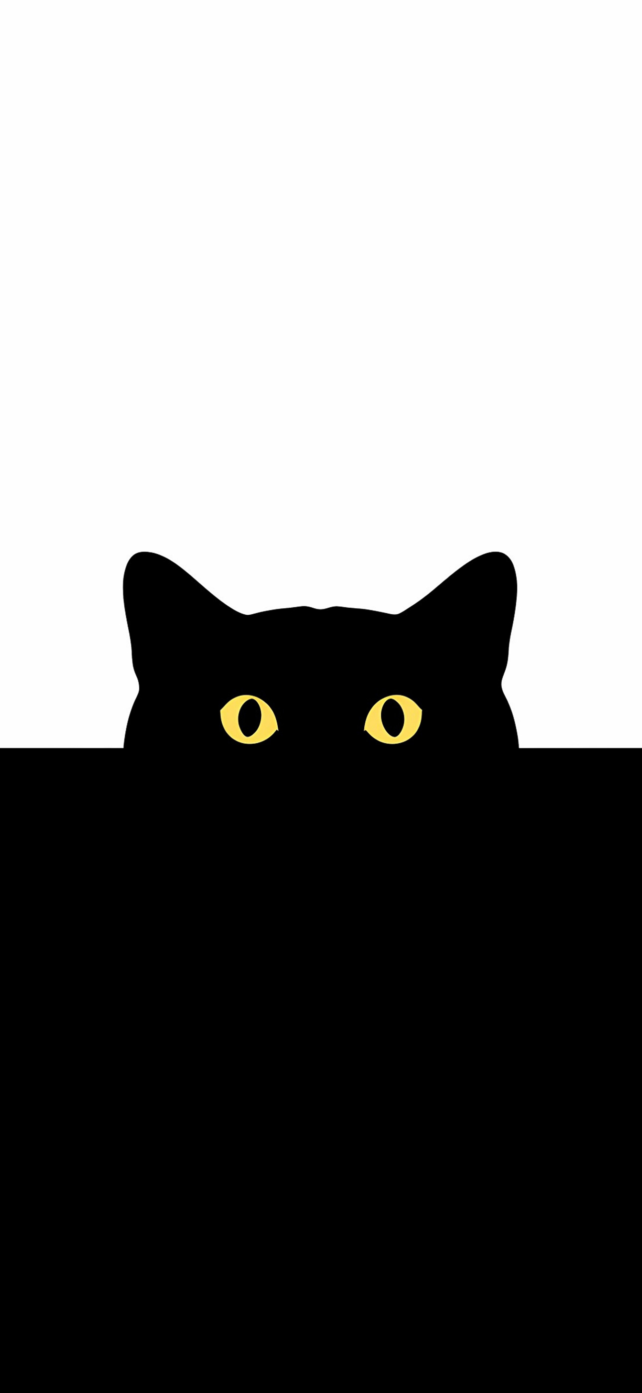 blackwhiutecat