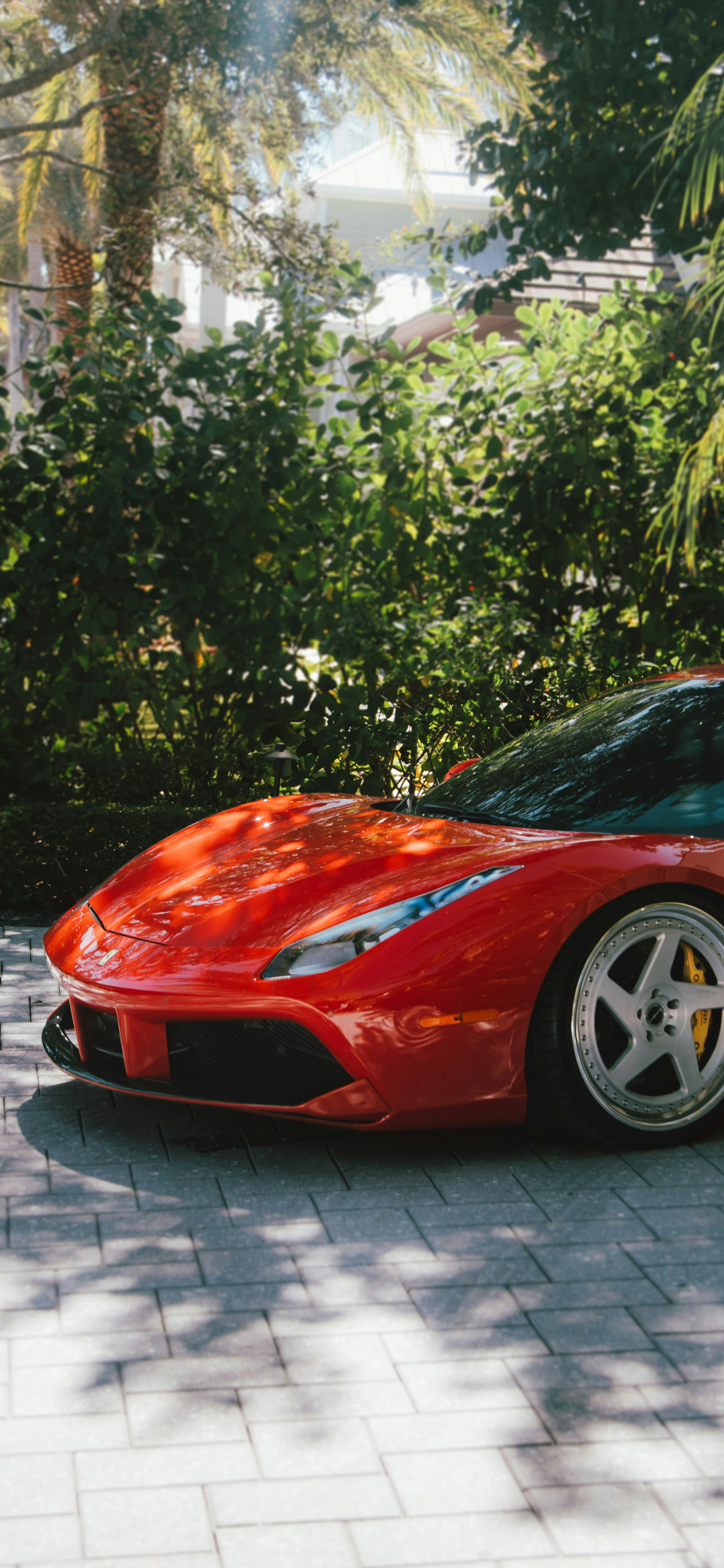 redferraaaaaaaaaaaaaaaari