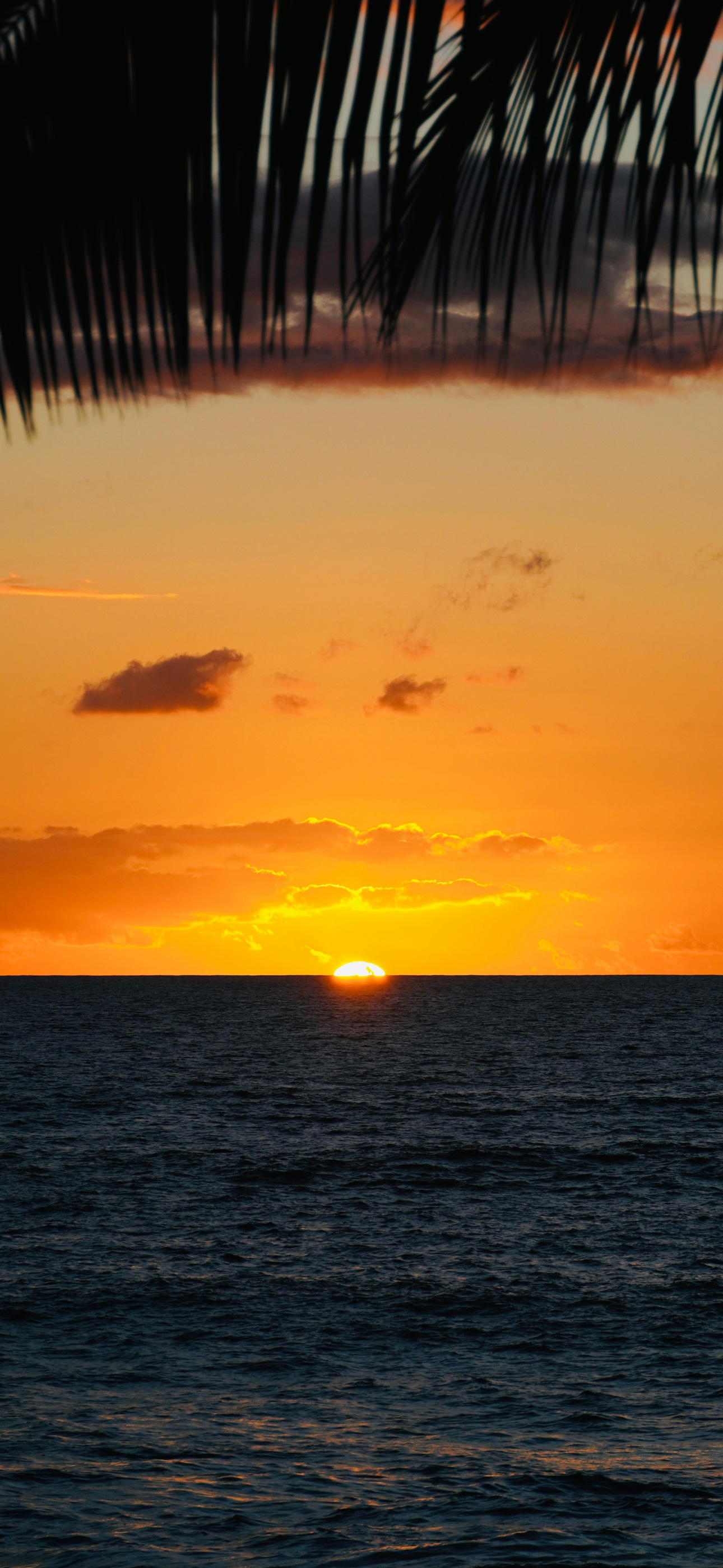 sunsewtbeachcinmeatic