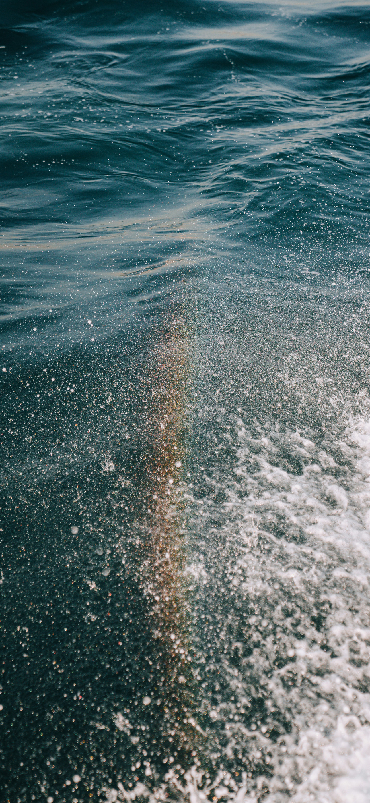 natureocenasearainbow