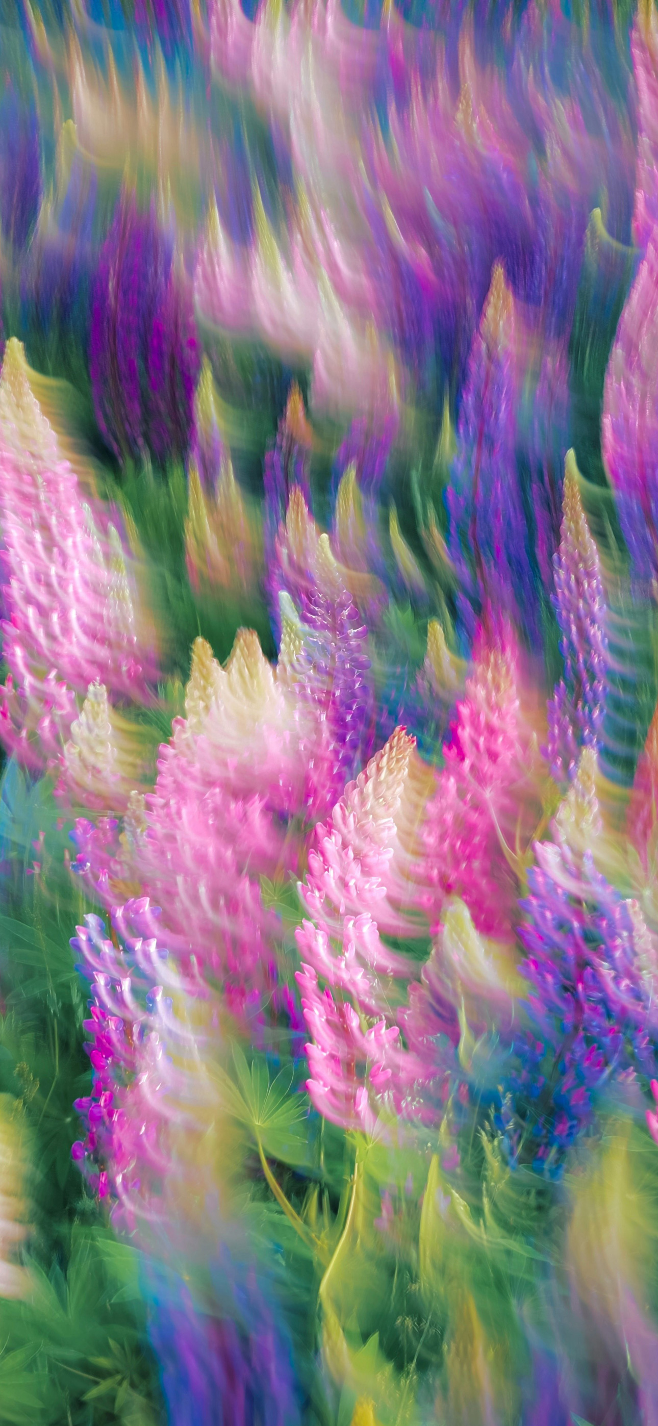 flowersblur