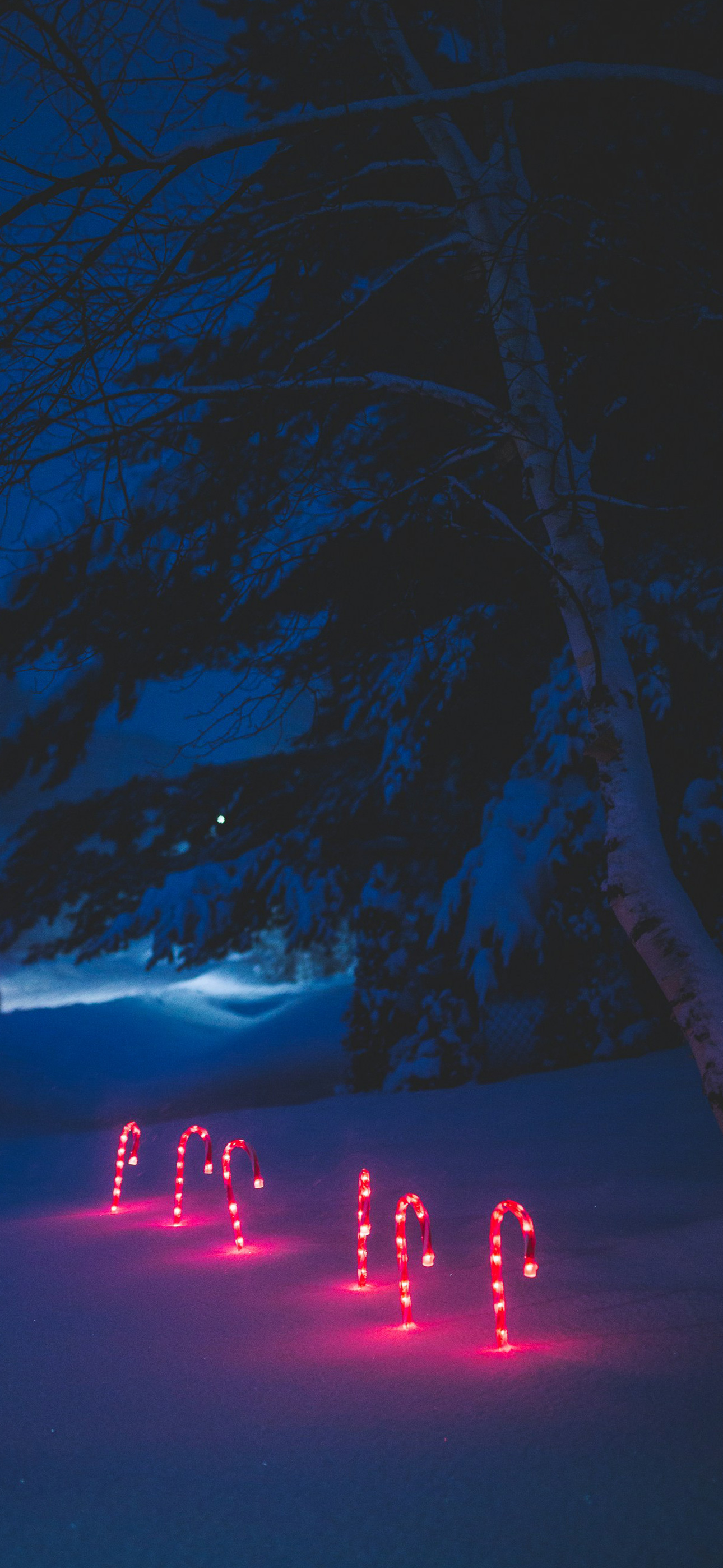 christmascxandylight