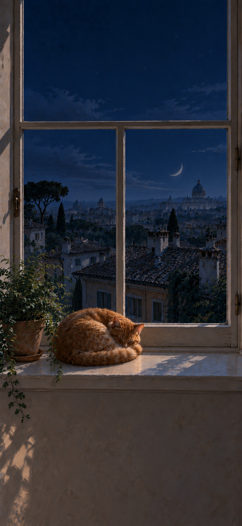 Window Cat Sleep