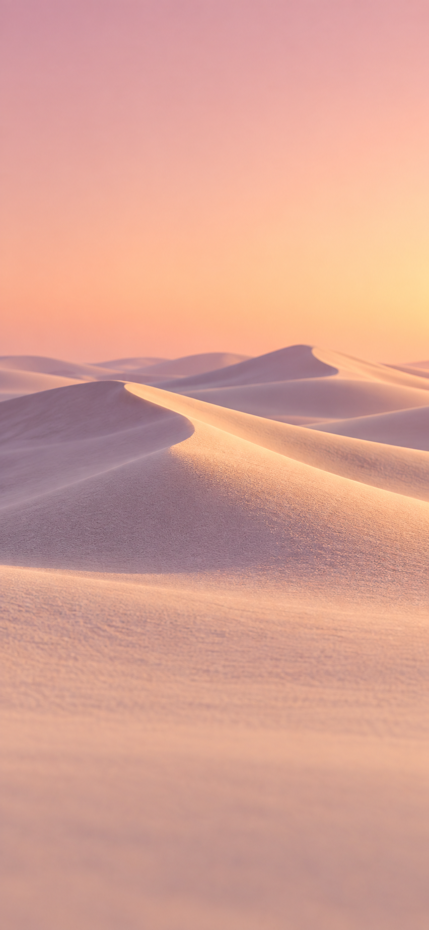 Soft Dunes Day