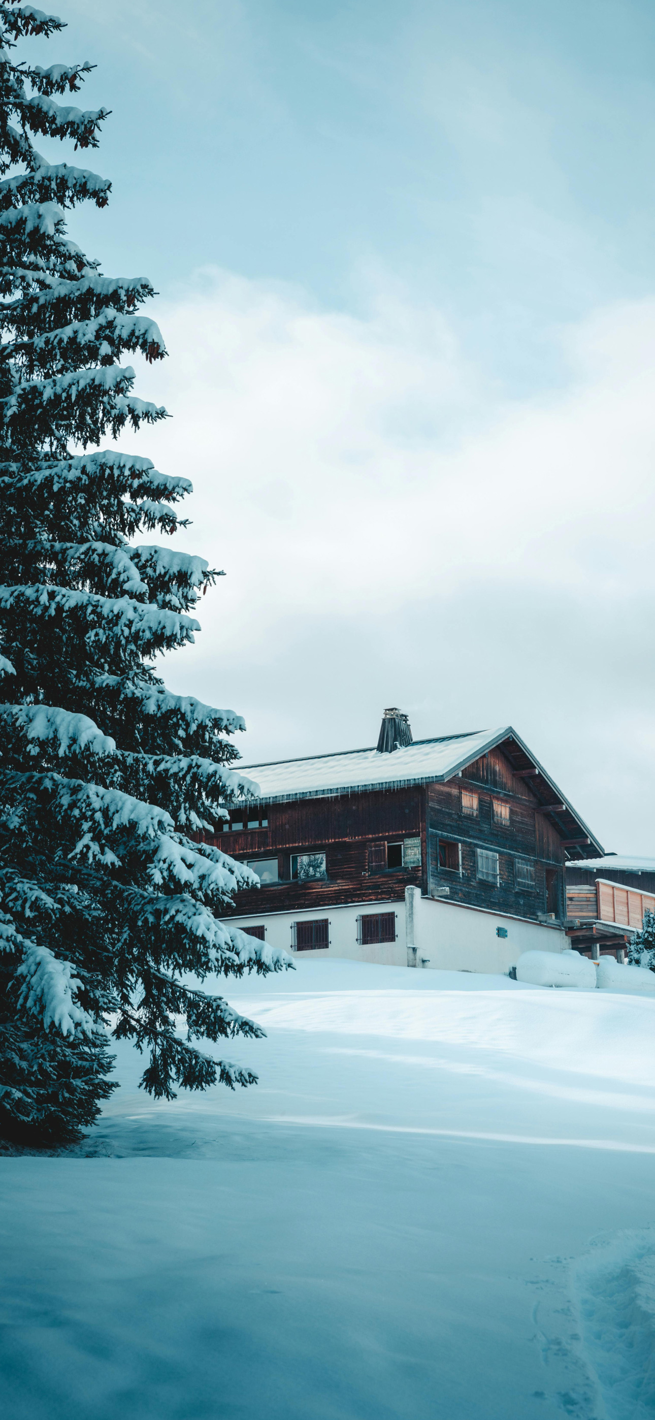 wintersnowytreeehouse