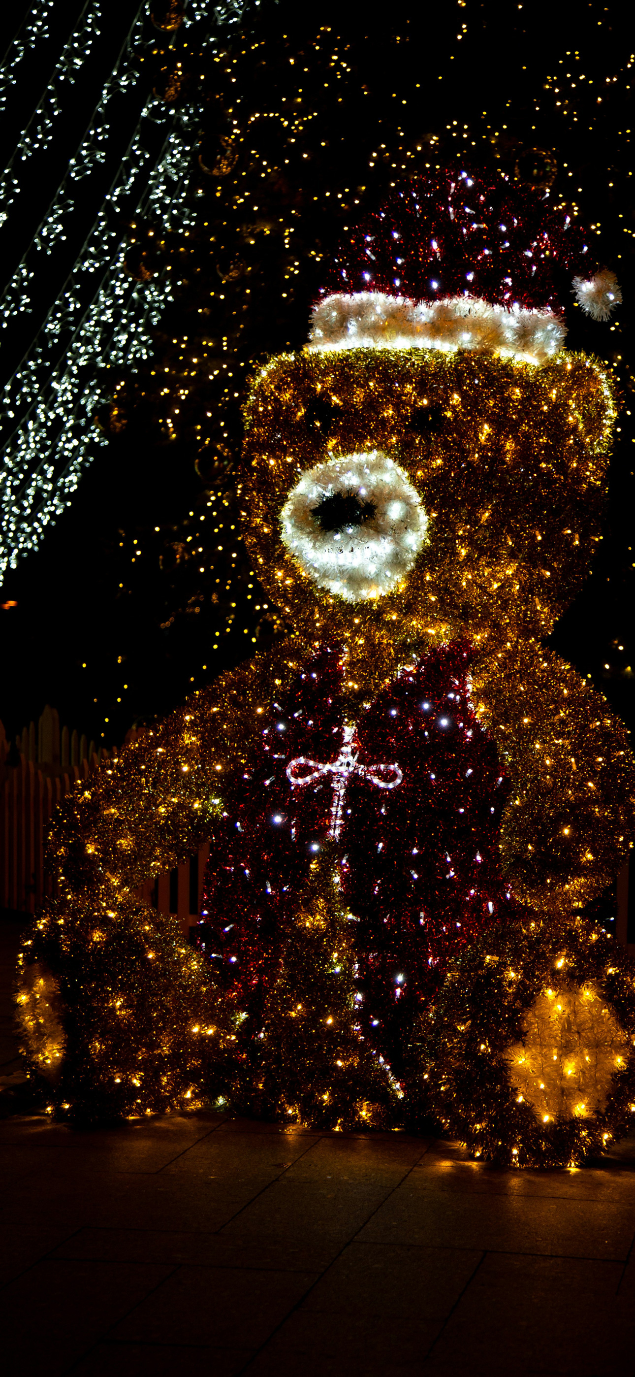 giasntcolorful teddyu