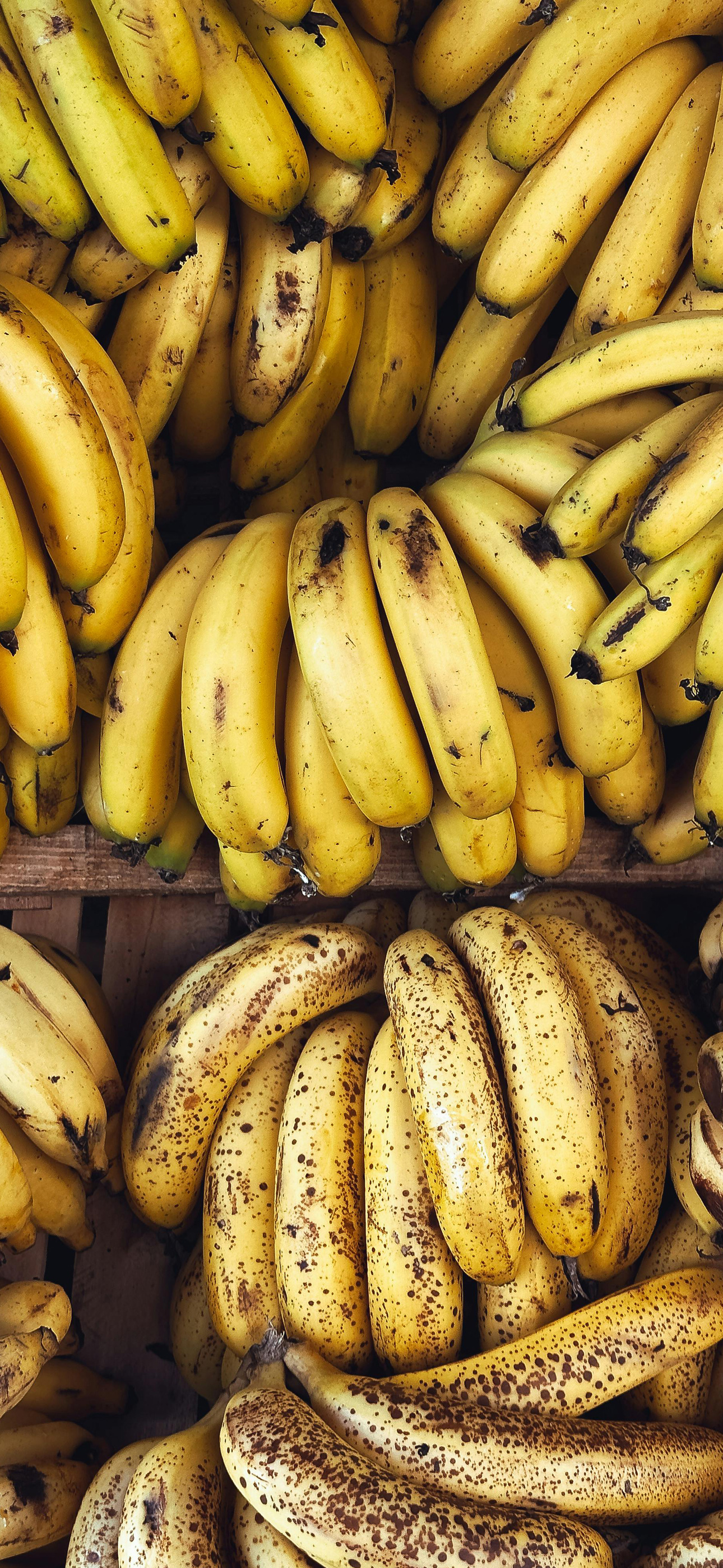 bananaaaaaaaaaaaaaaaaaas