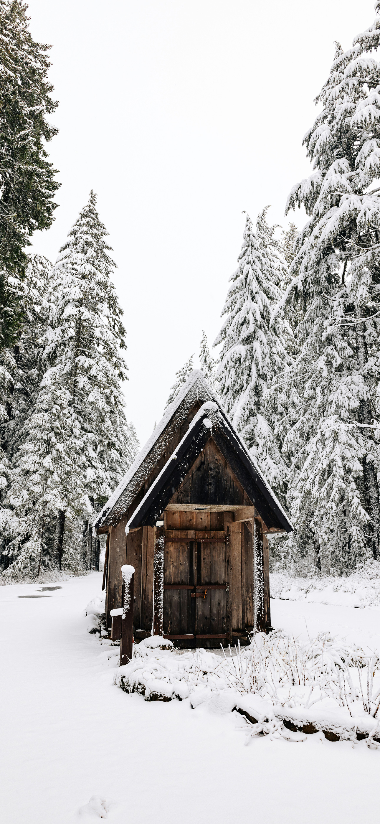 winterfreosertwinter