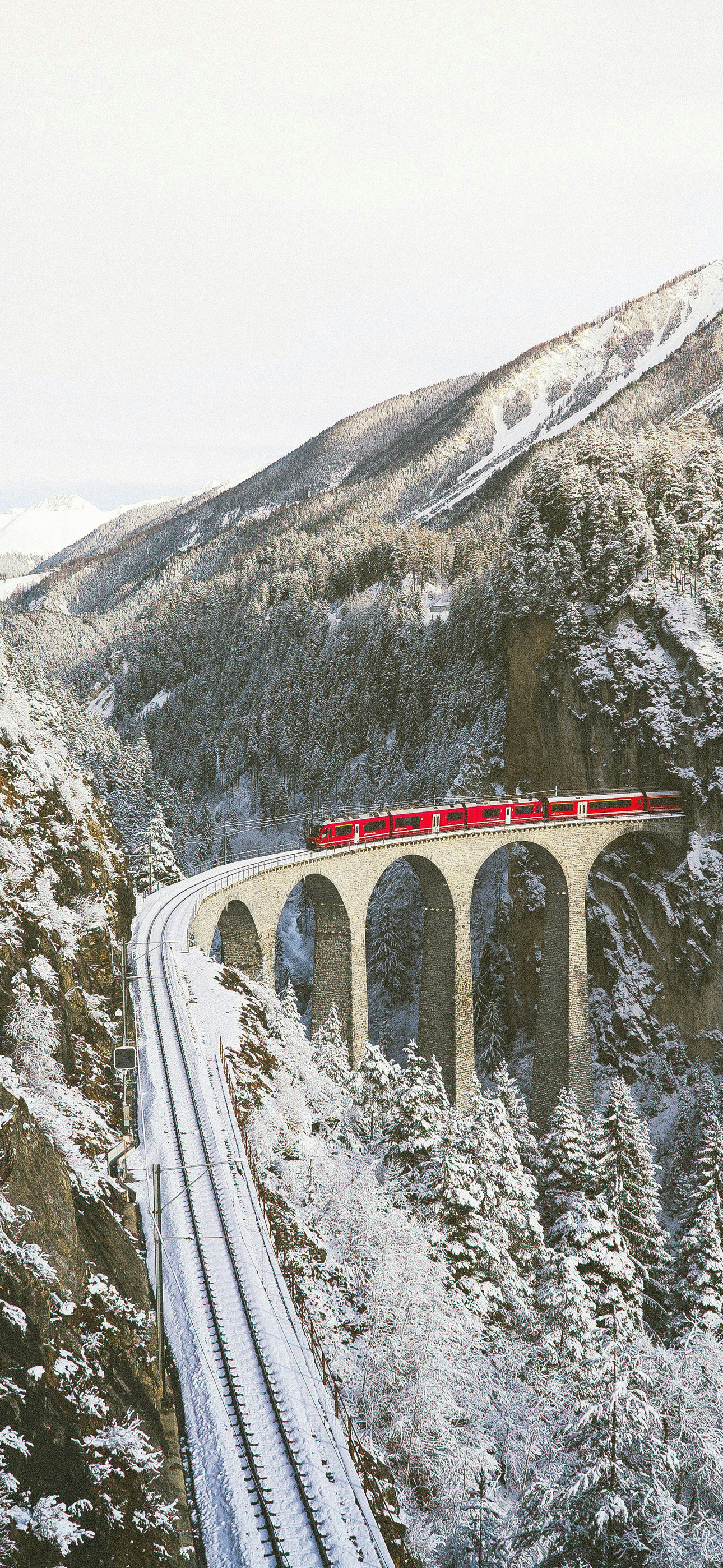 winterredtrain