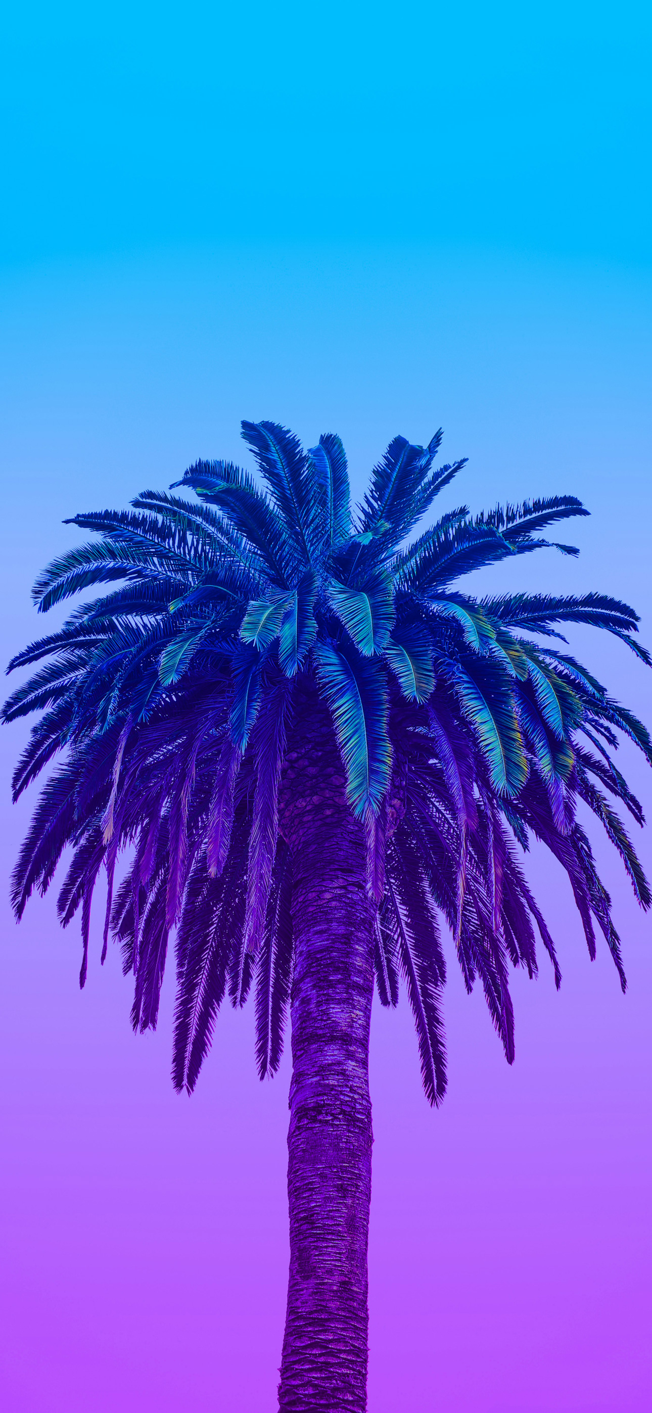 treeskypurpleblue