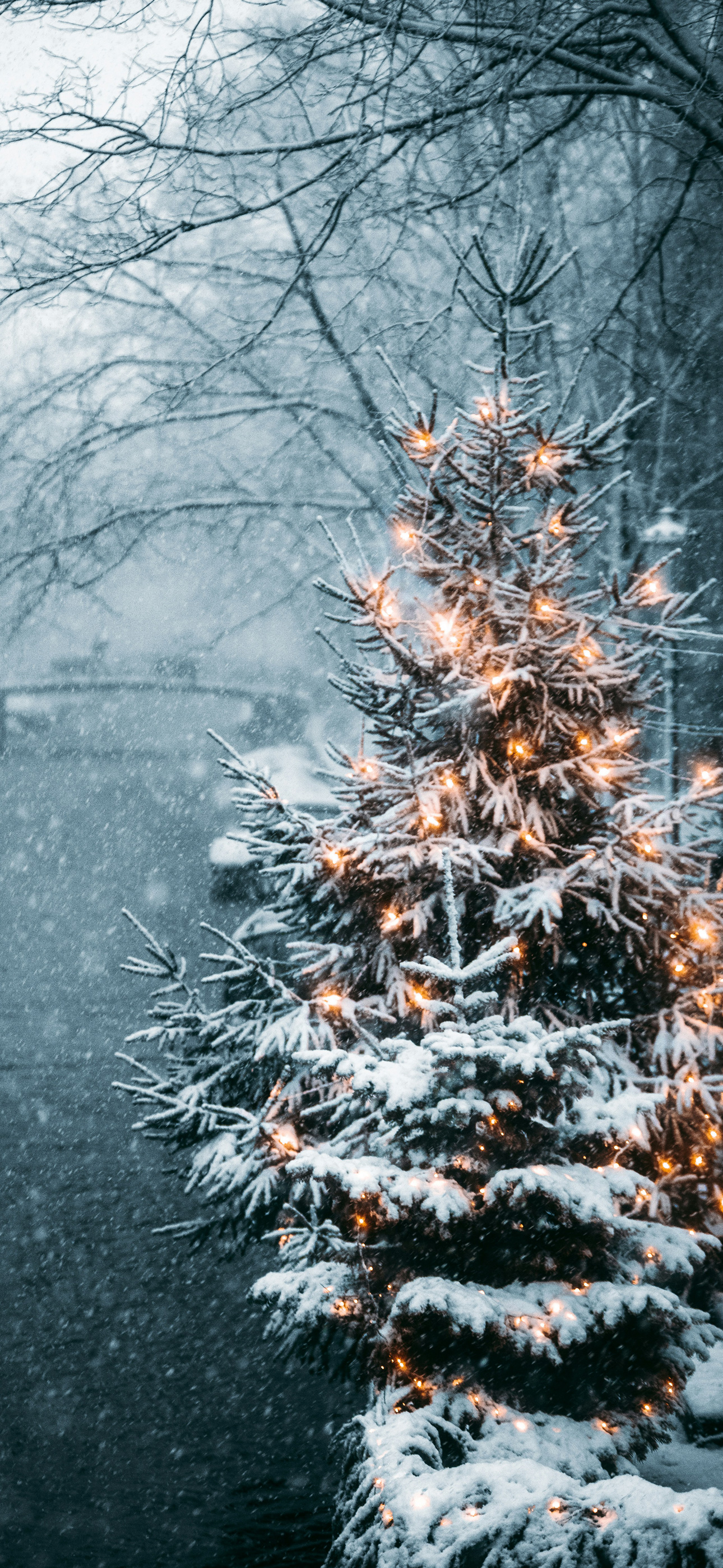 wintertreelightsswghite