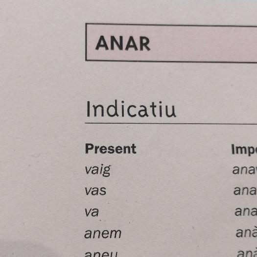 Verb Irregular ANAR (Pres.Indicatiu) — Juego de Quiz | Kharty
