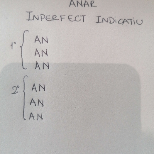 ANAR - INPERFECT INDICATIU