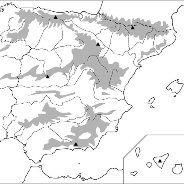 Relieve costero de España