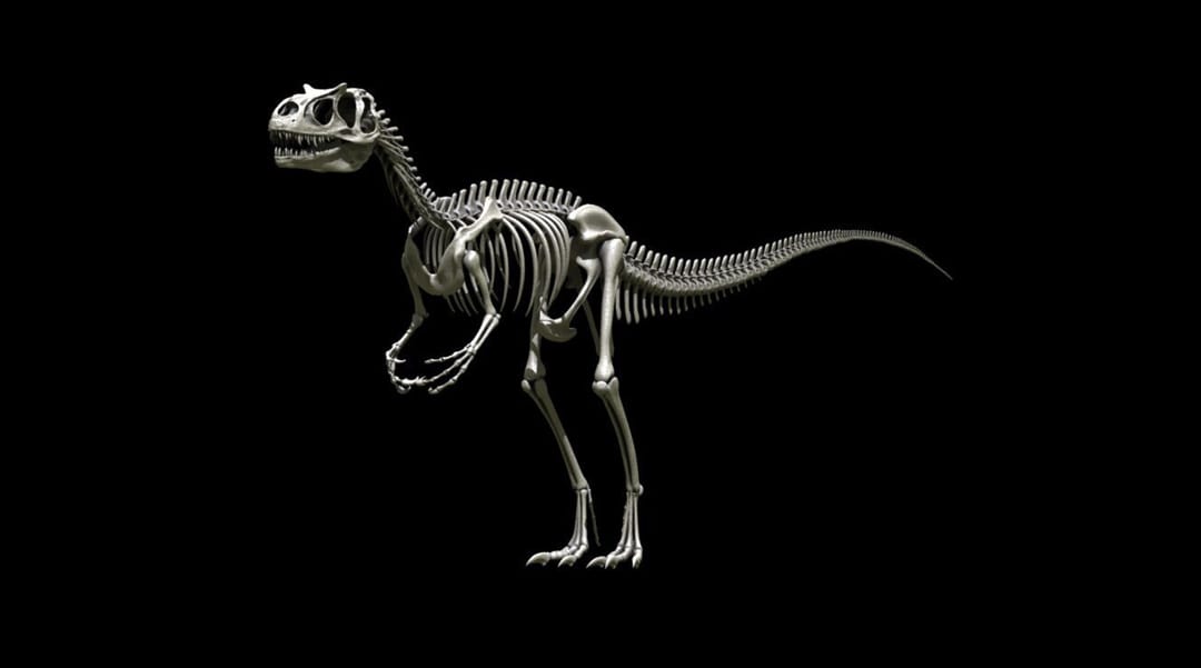 Lucha En El Jurásico El Cazador Del T Rex Tu Amc Lucha En El Jurásico El Cazador Del T Rex Tu Amc