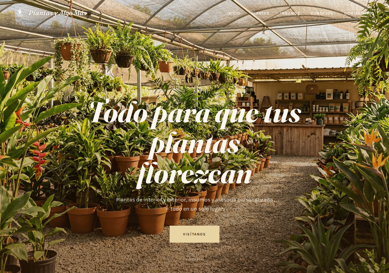 Plantas y Algo Mas