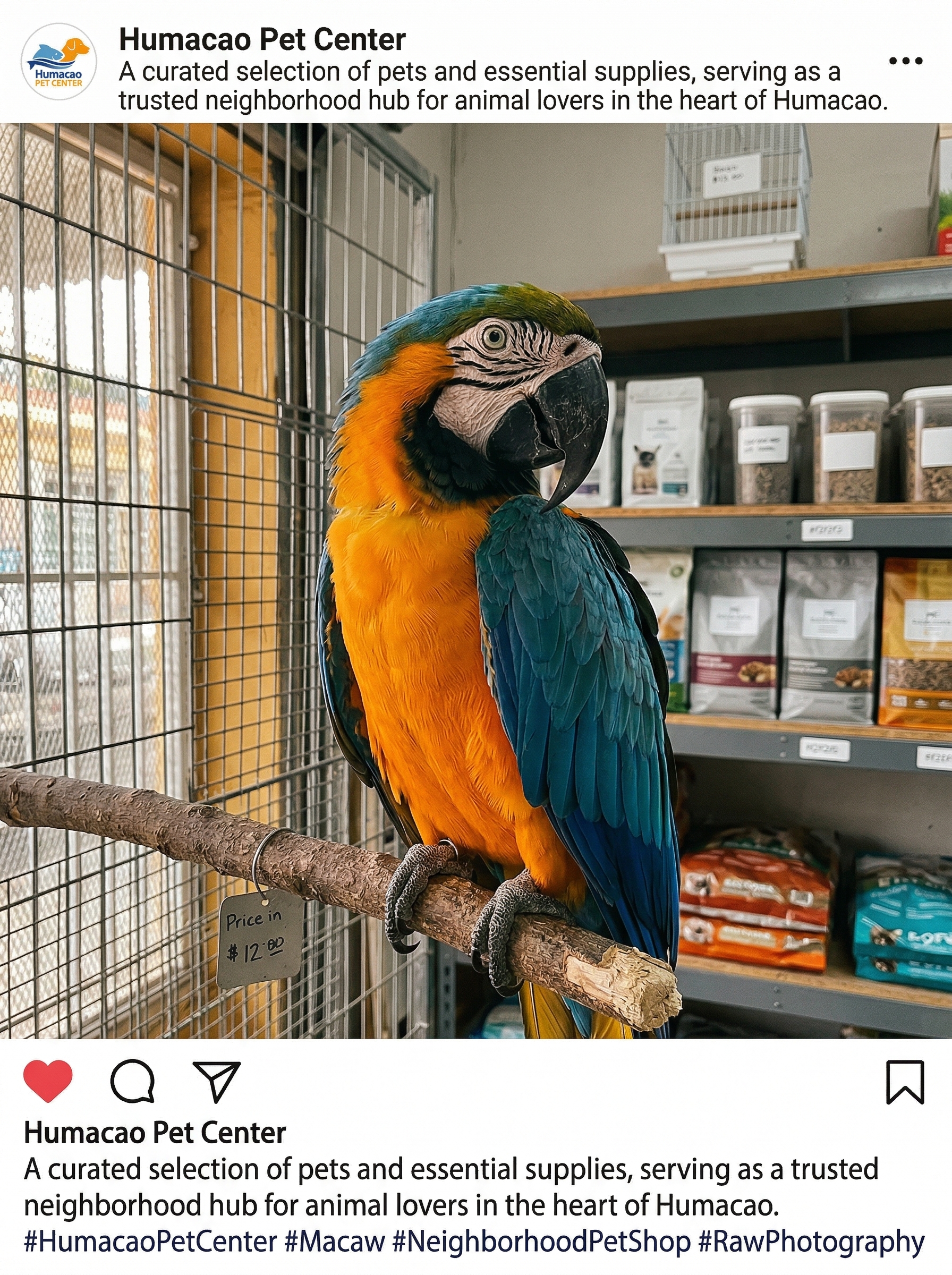 Aves Tropicales en Humacao Pet Center