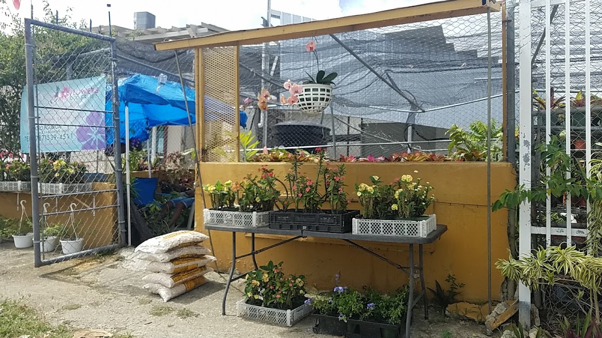 Arreglos florales para evento corporativo