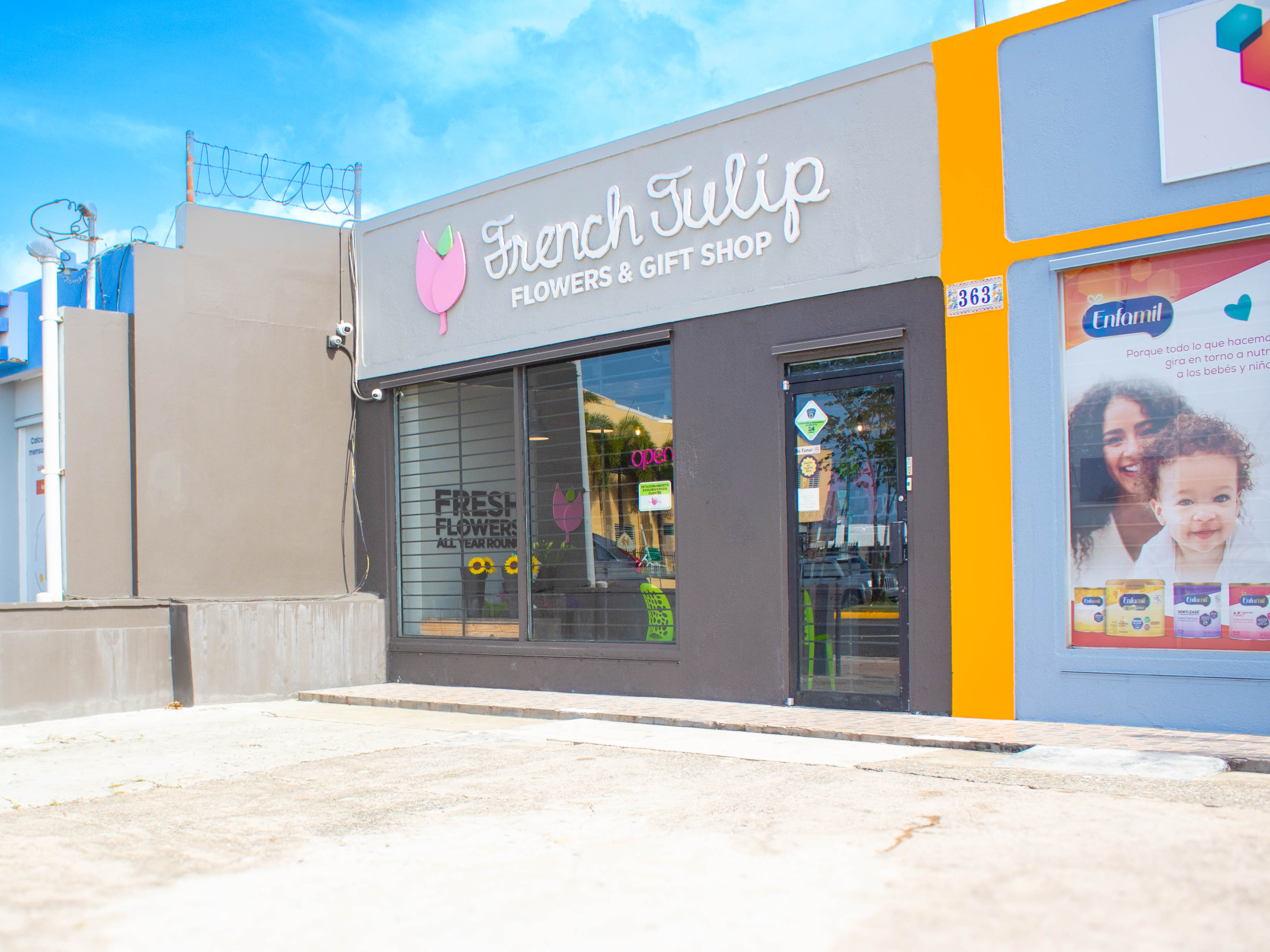 Producto French Tulip