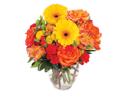 Decoración especial