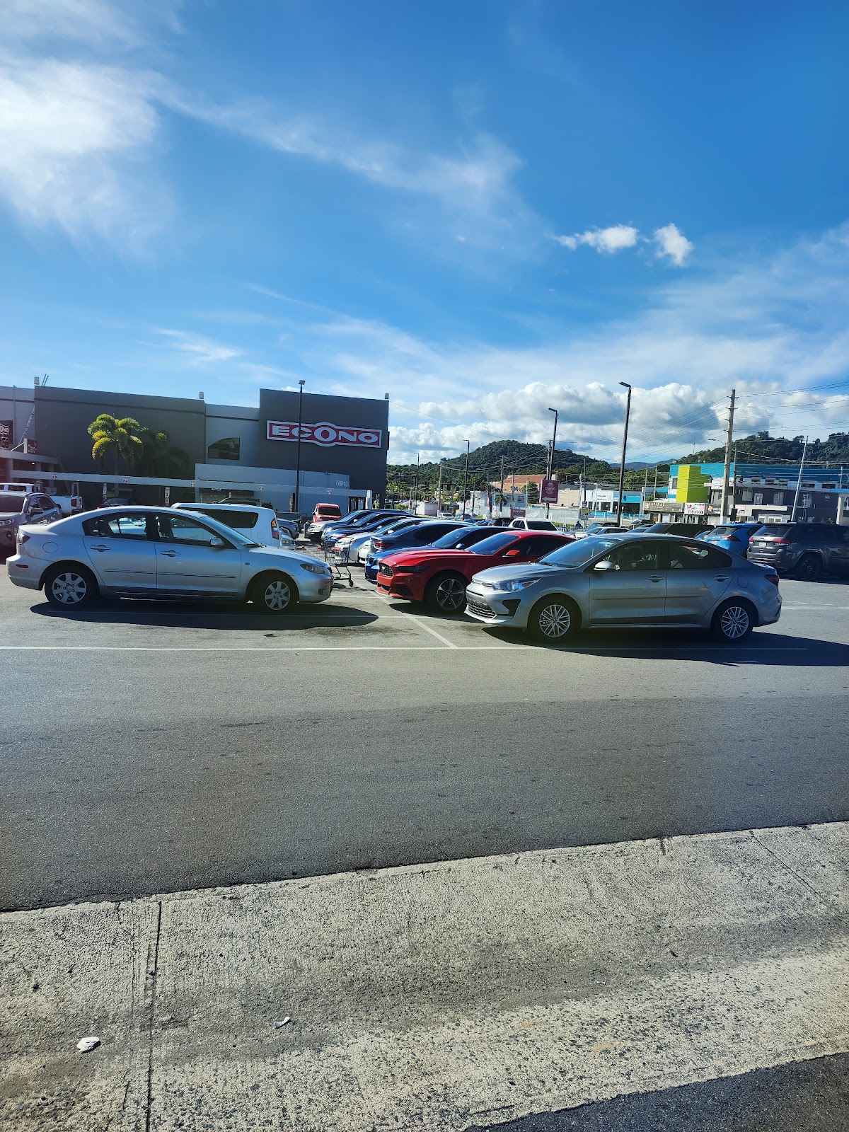 Lifestyle floral tropical 1