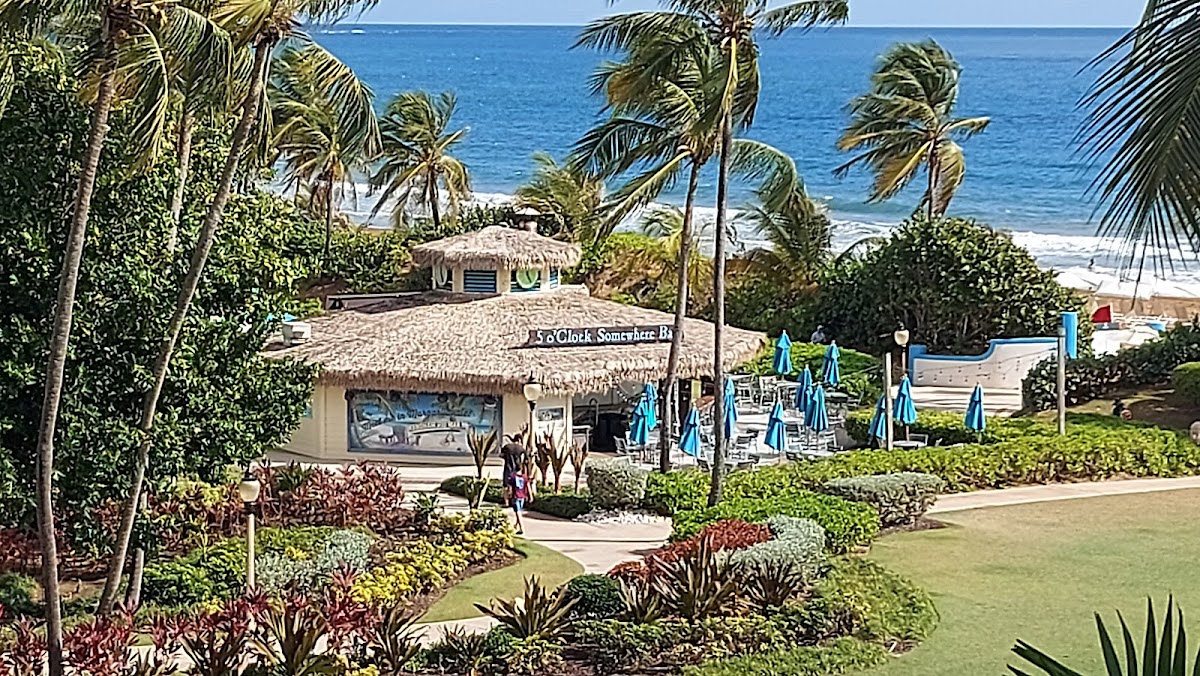 Lifestyle at 5 o'Clock Somewhere Bar