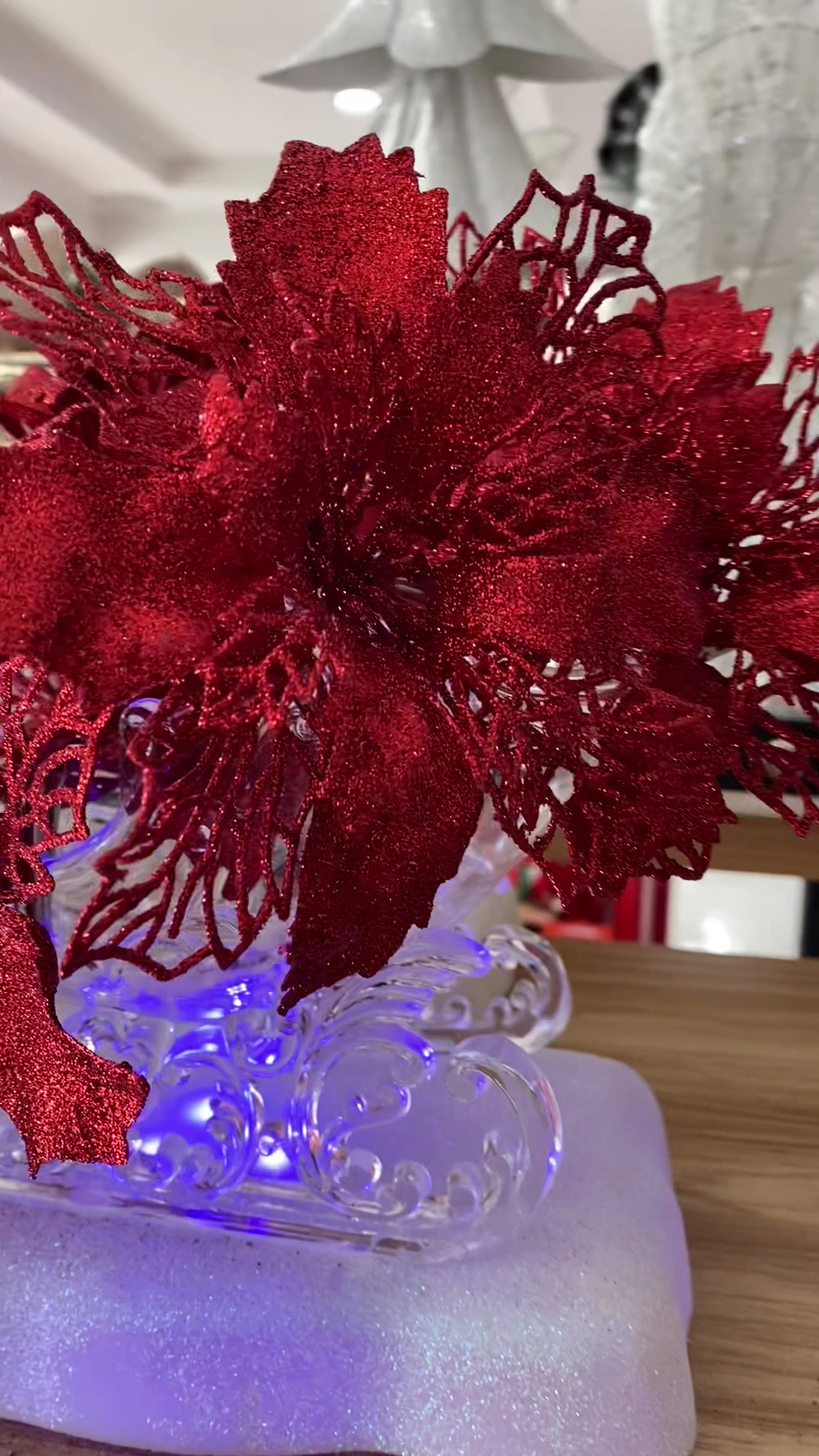 Flores frescas en Jorge Wholesale Flowers