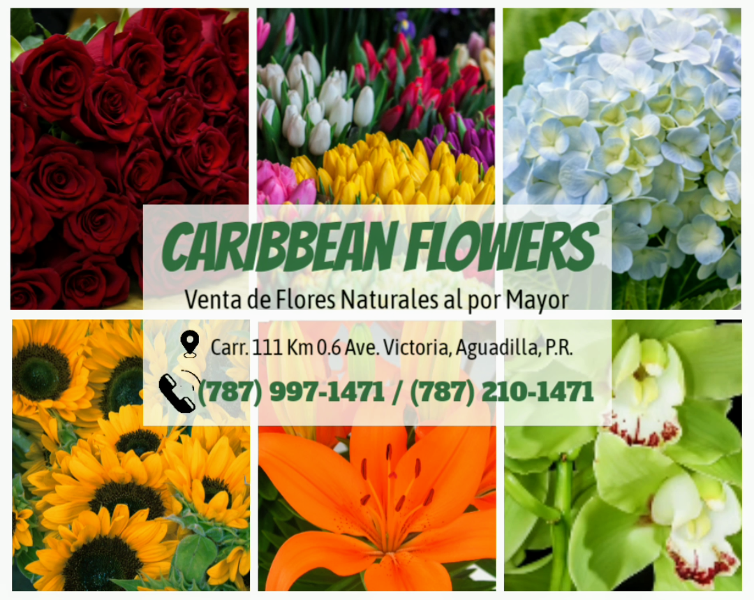 Producto floral Caribbean Flower