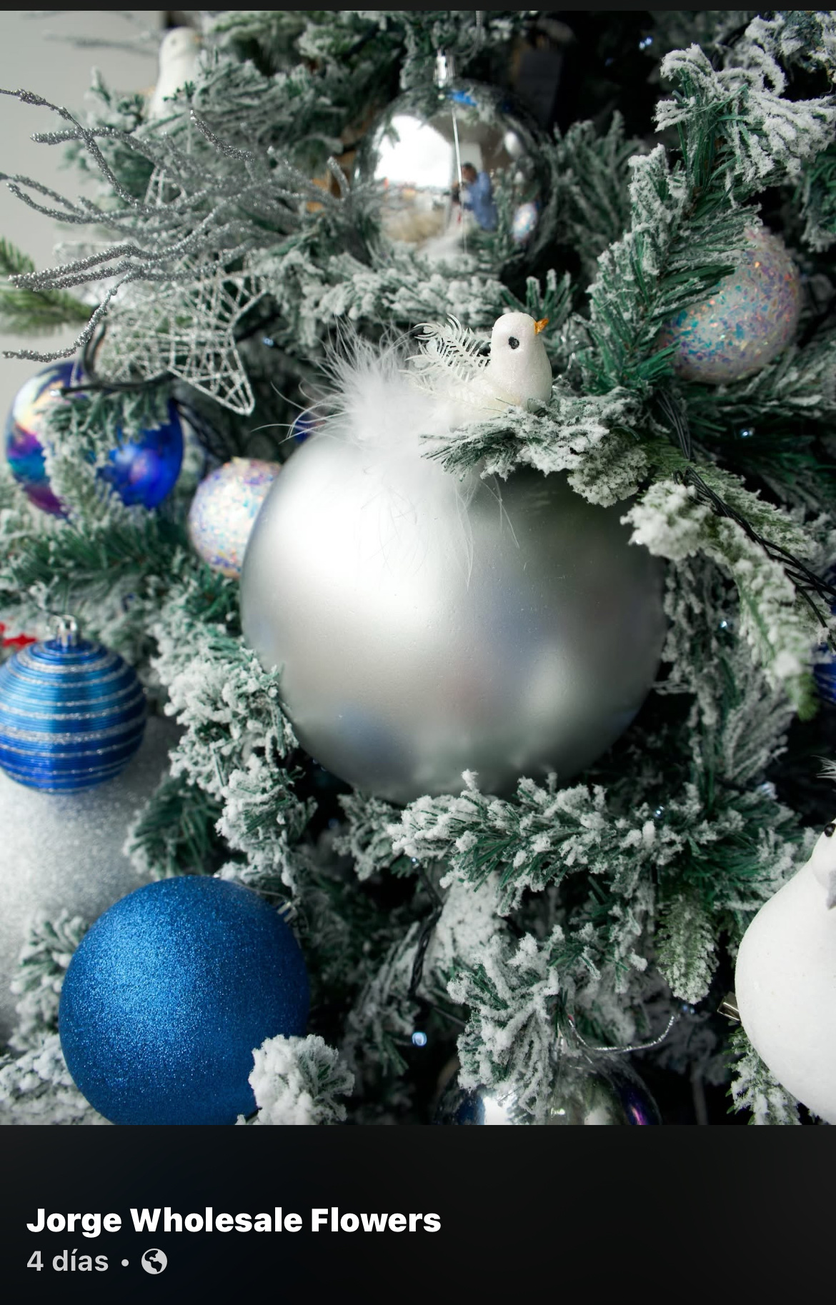 Productos florales de Jorge Wholesale Flowers