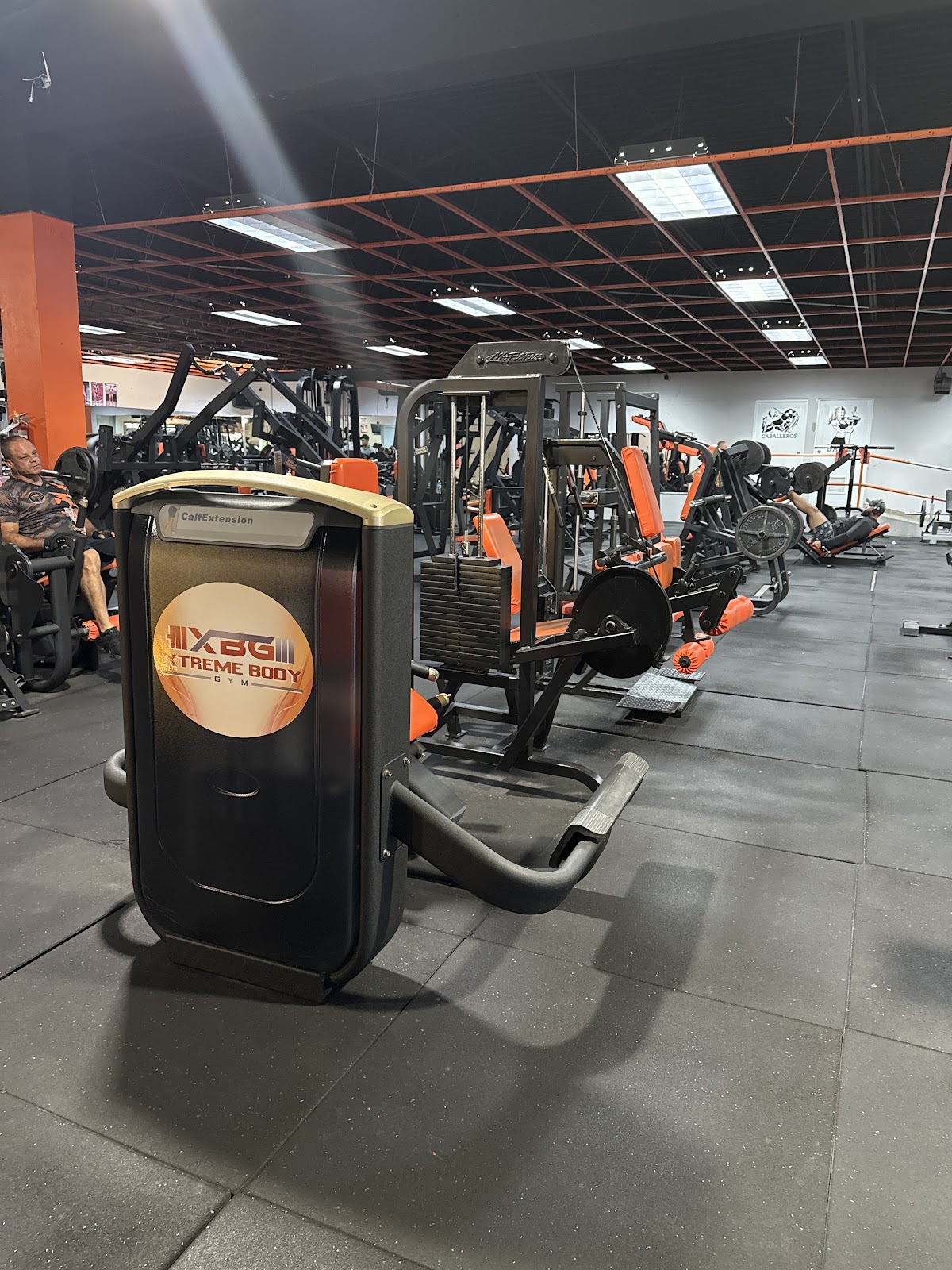 Pesas y equipo en Xtreme Bodybuilding Gym