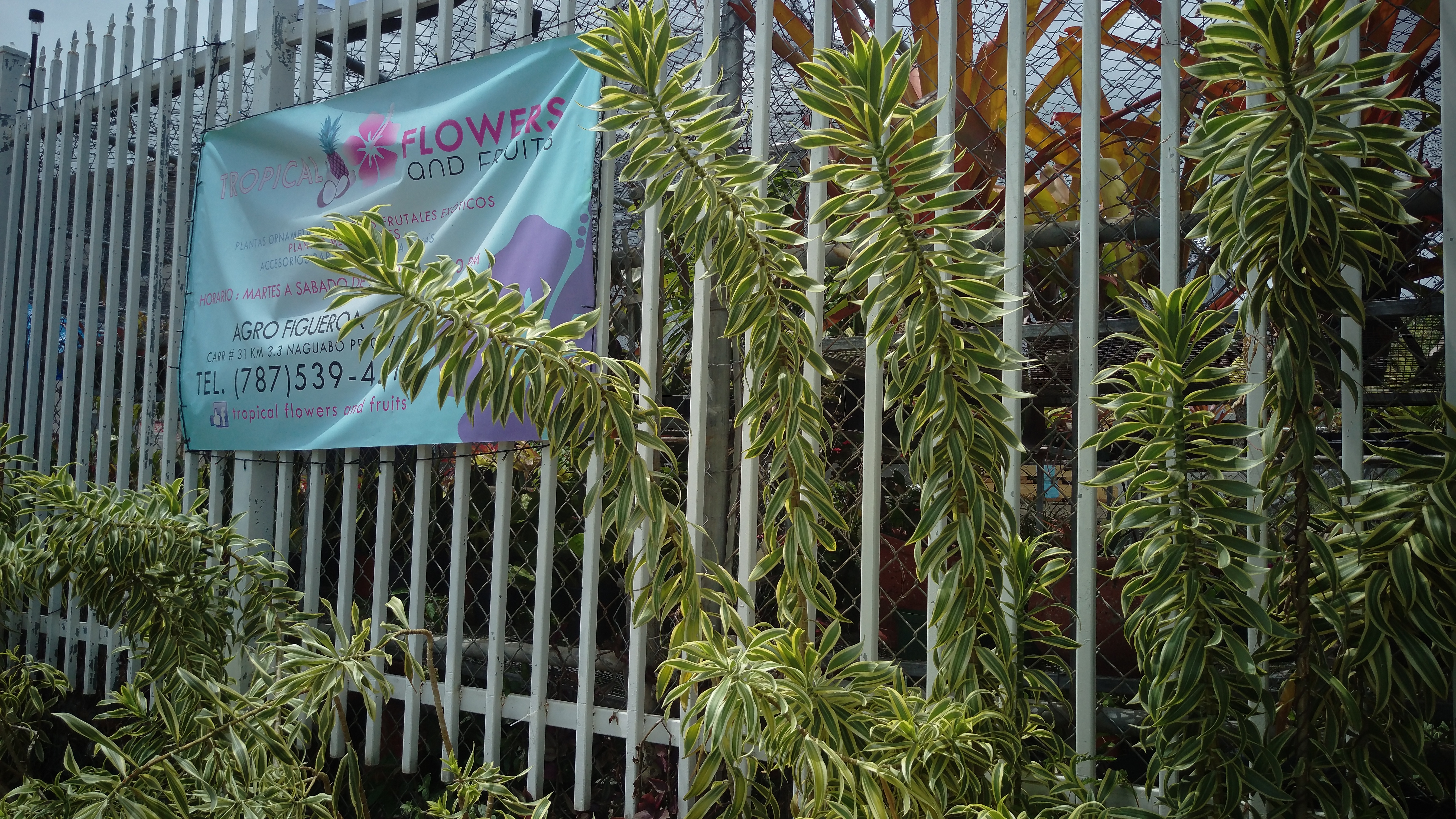 Evento de celebración especial