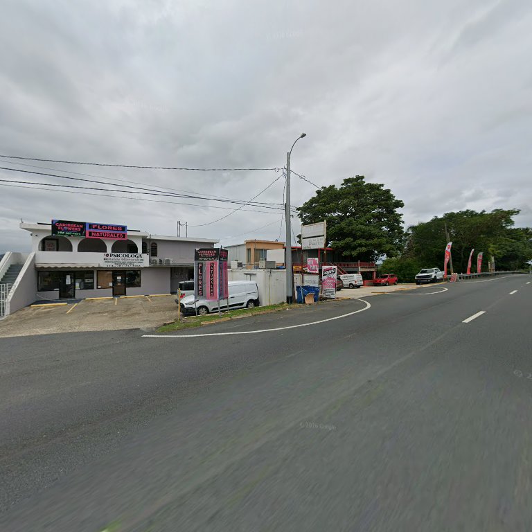 Flores tropicales Caribbean Flower