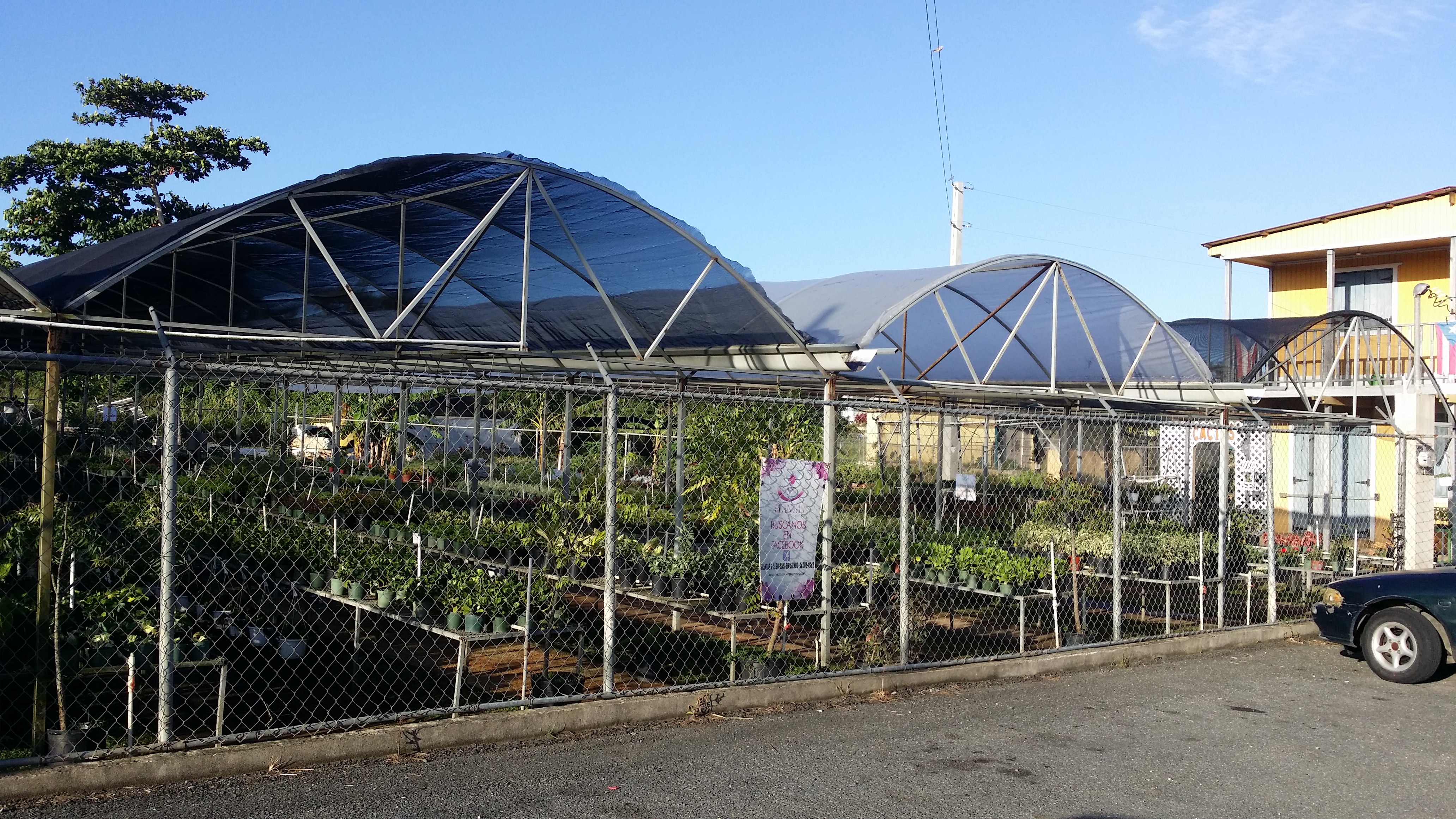 Producto — plantas vivero