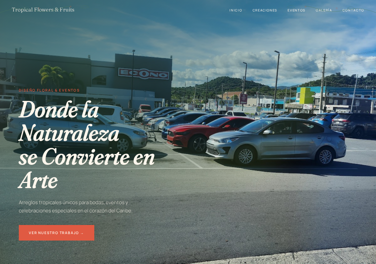 Tropical Flowers And Fruits