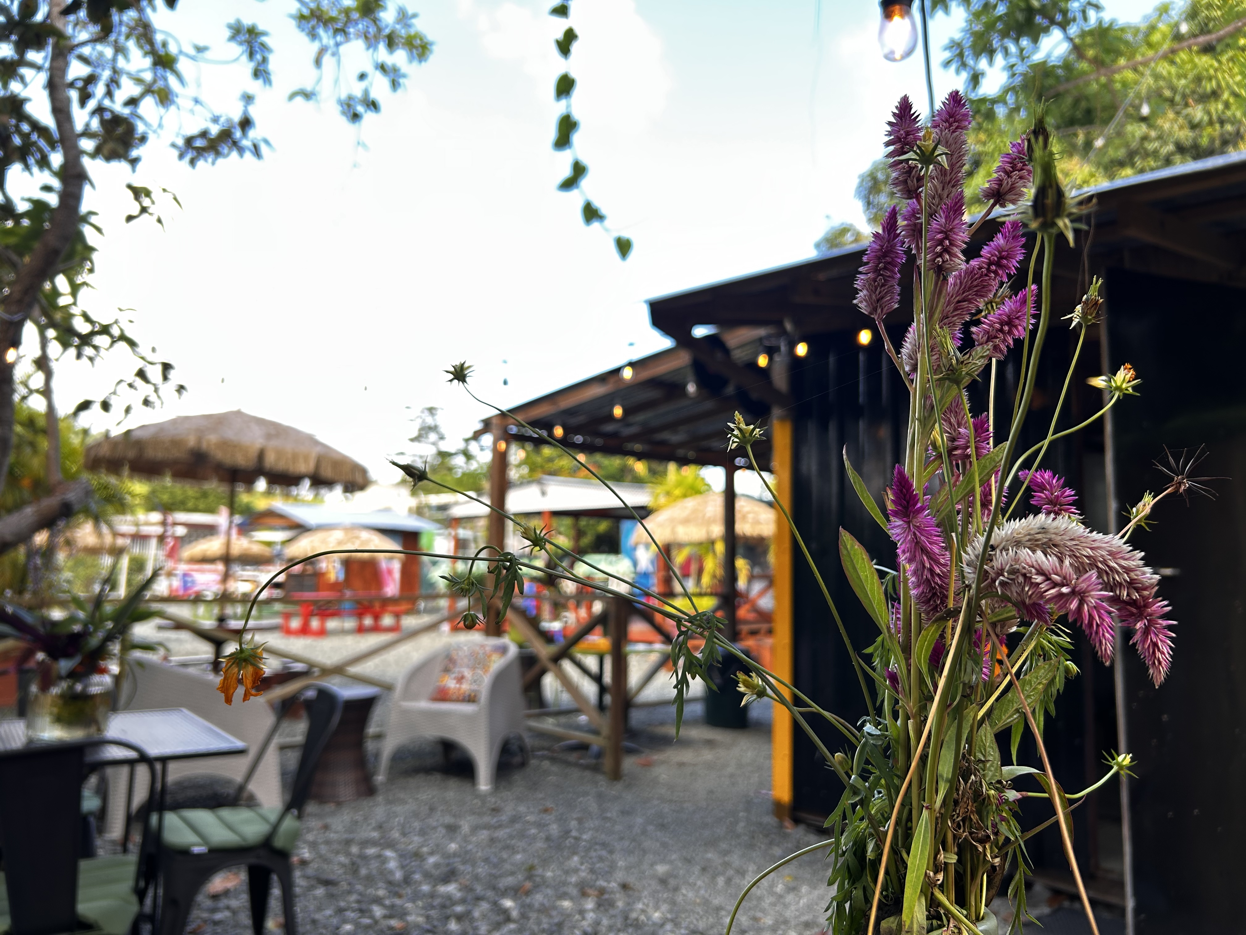 El ambiente de Vinilo Bar en el Yunque Foodpark