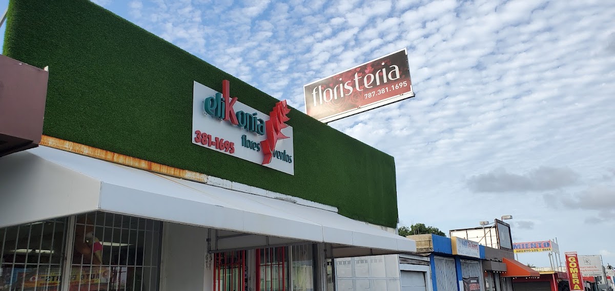 El arte floral de Elikonia — San Juan Puerto Rico