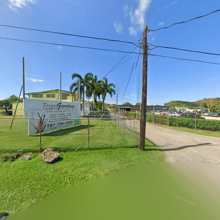 Yolianis Padilla — Florista en Puerto Rico