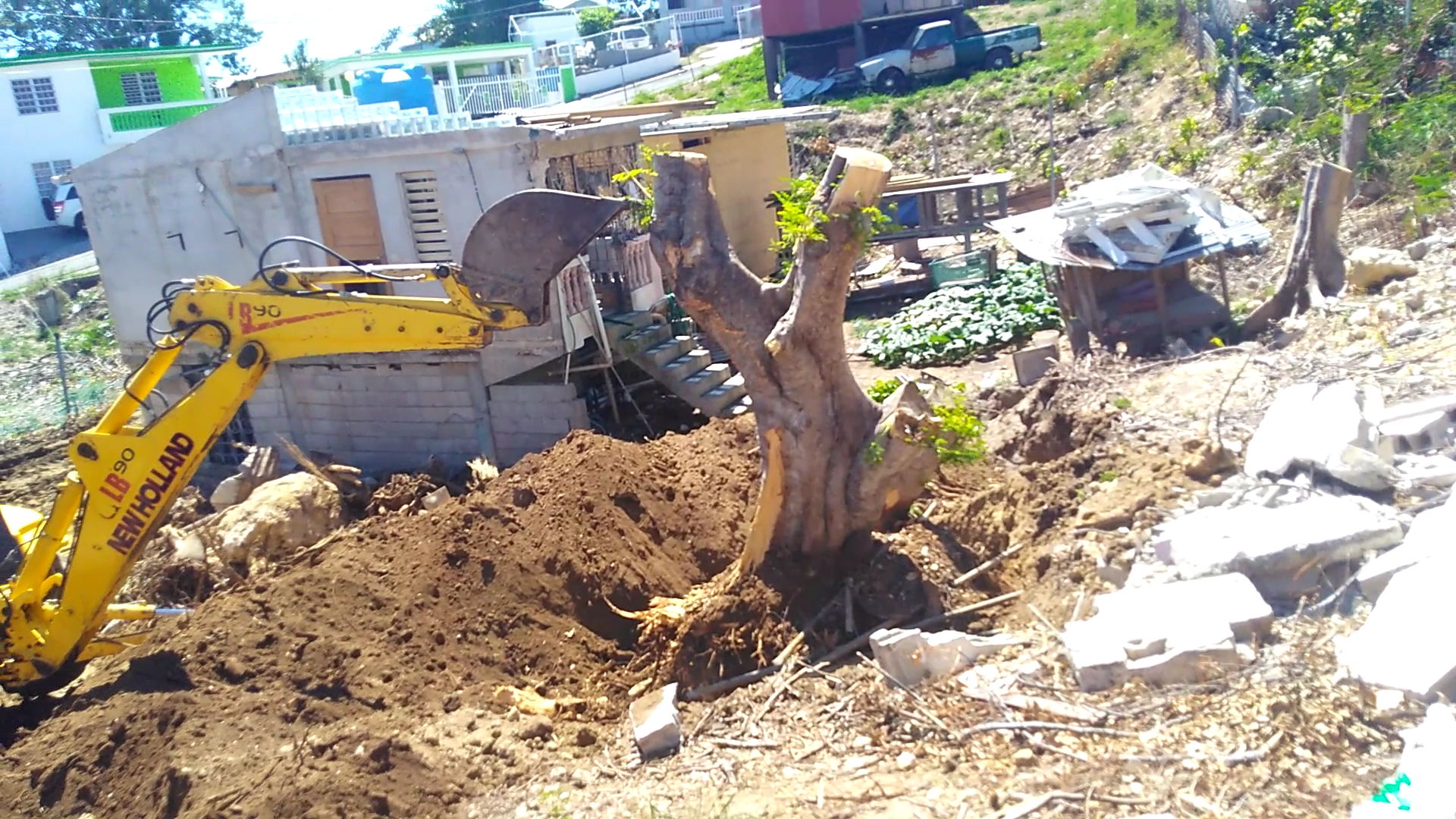 Especialidad de la casa