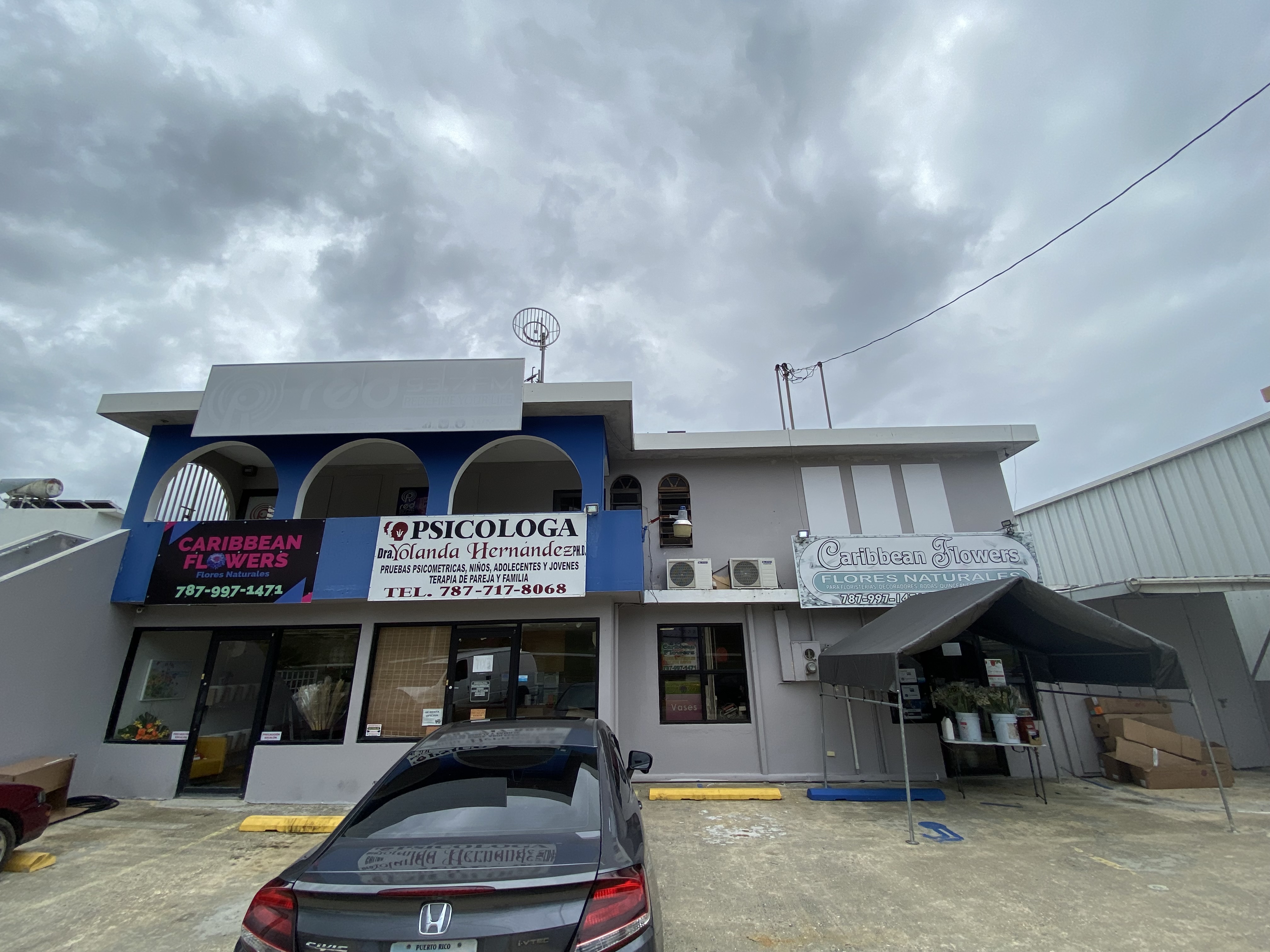 Detalle de flores Caribbean Flower