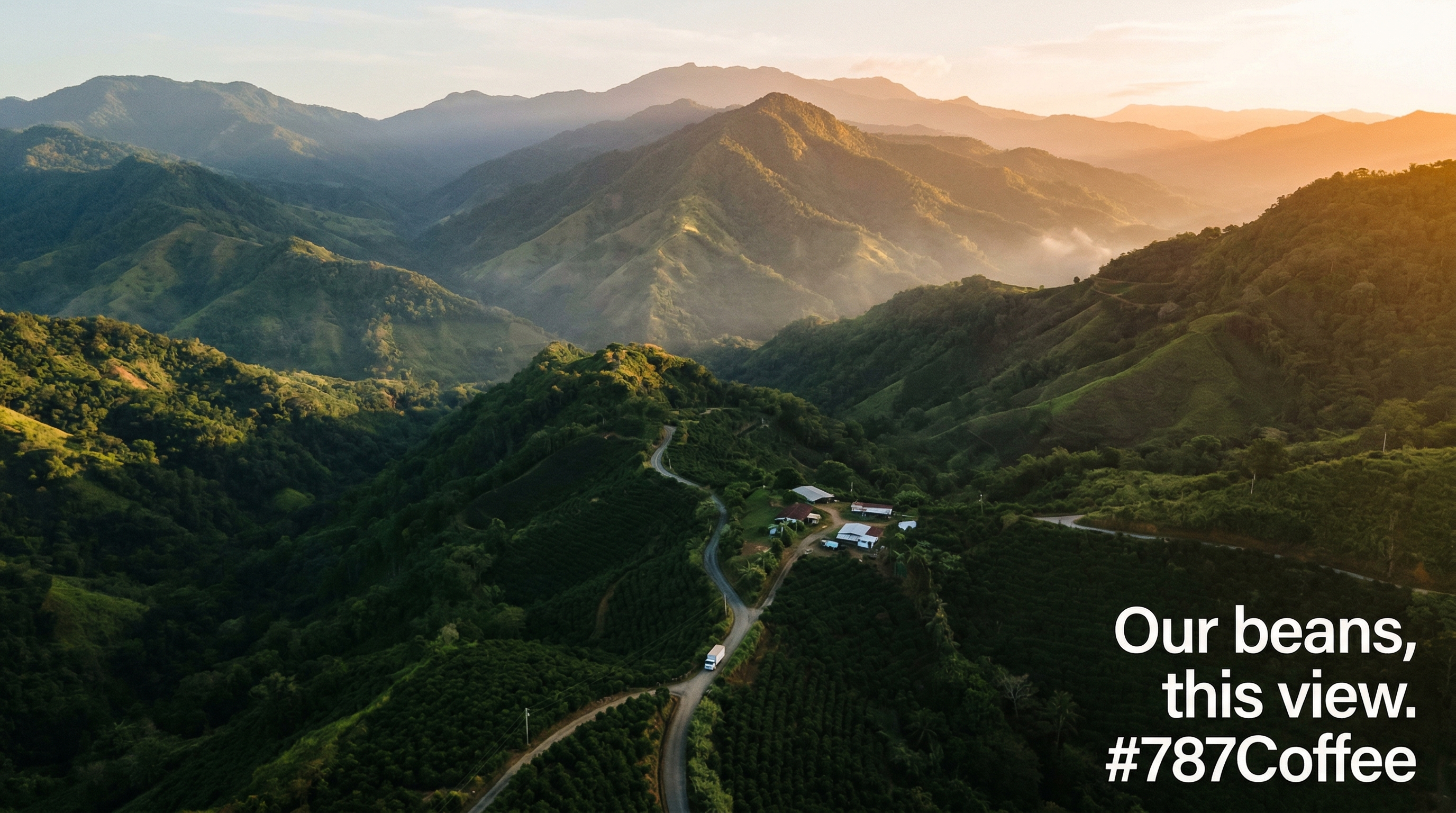 Granos de café de Puerto Rico