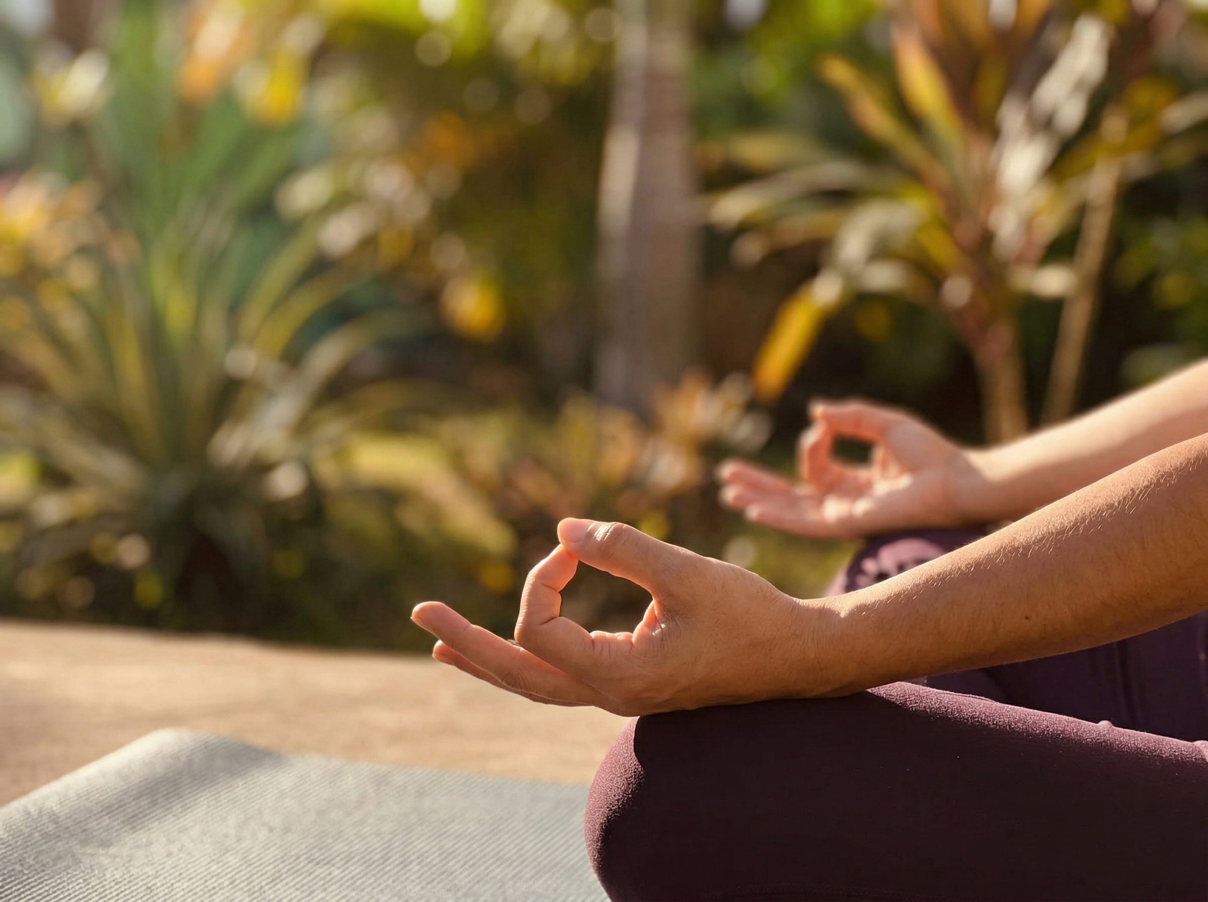 Detalle de manos en mudra