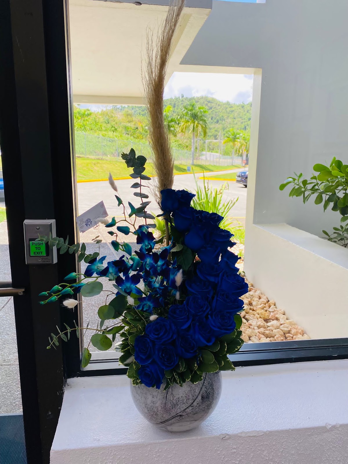 Bouquet de flores frescas y coloridas