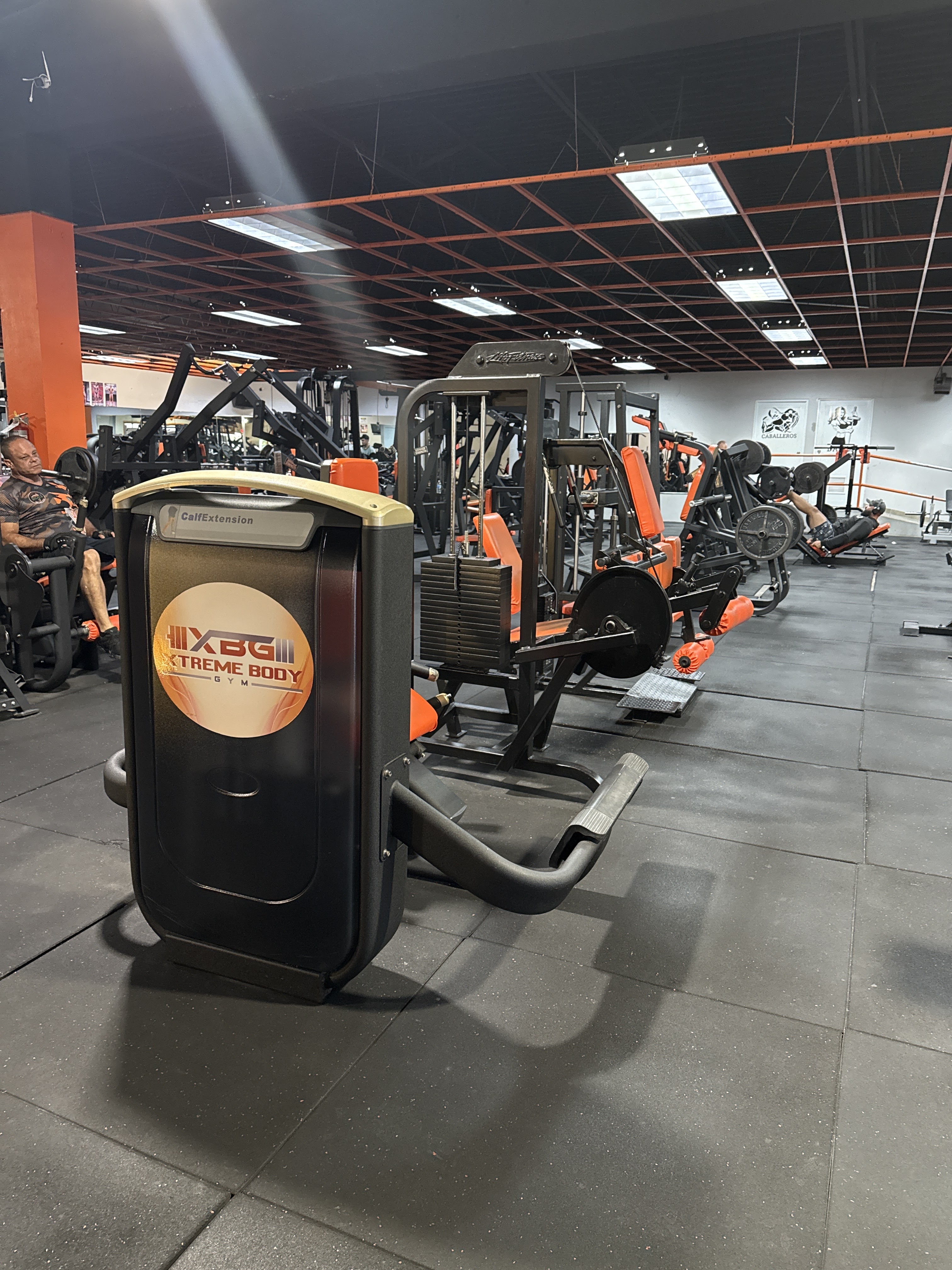 Entrenamiento en Xtreme Bodybuilding Gym