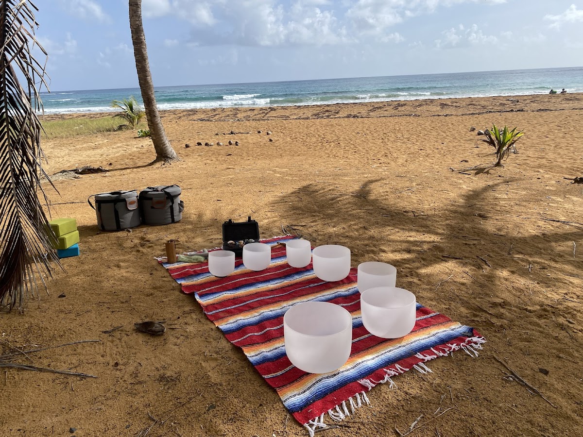 Sacred Lotus wellness lifestyle