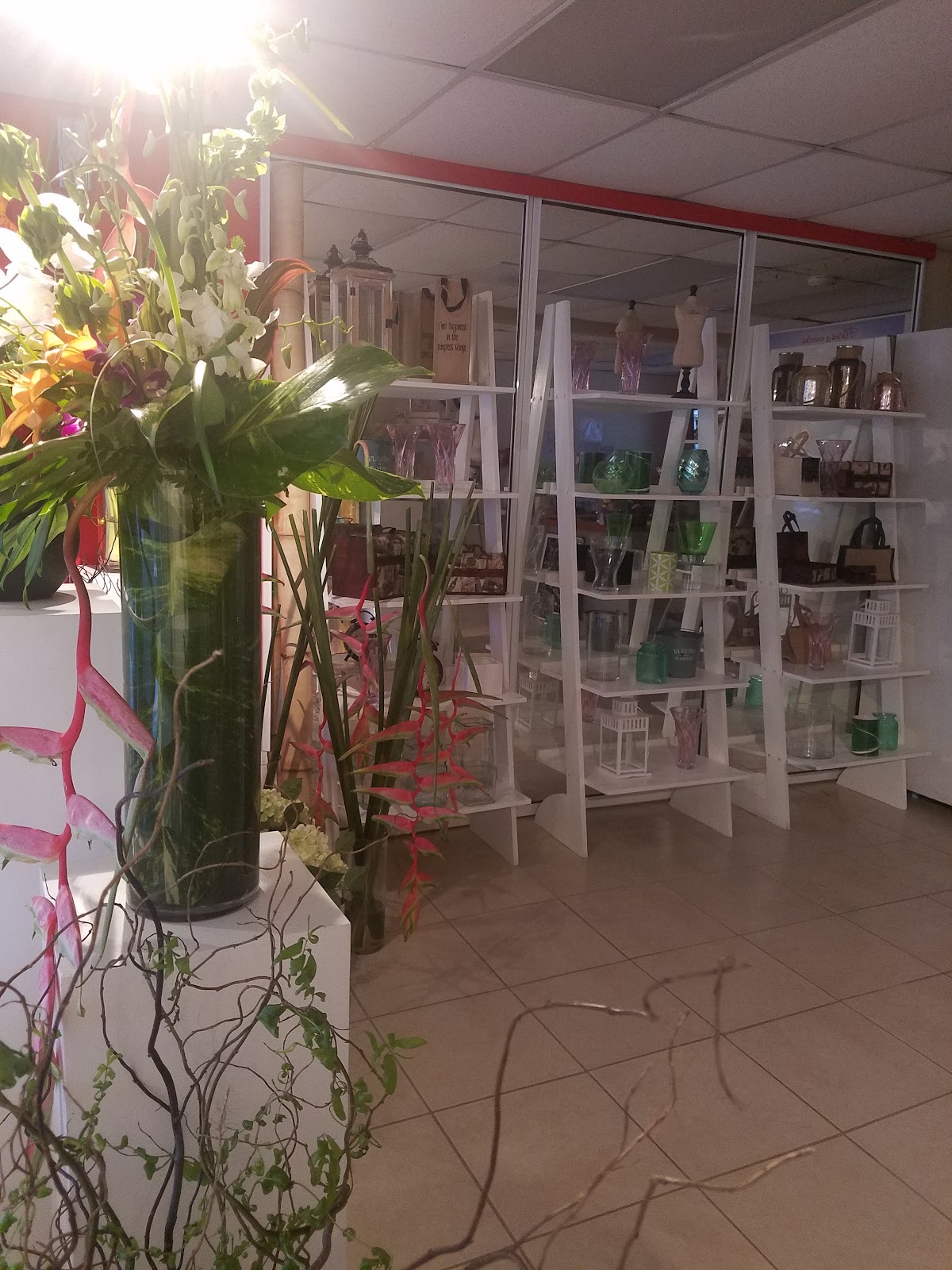 Arreglos del Día a Día — Elikonia