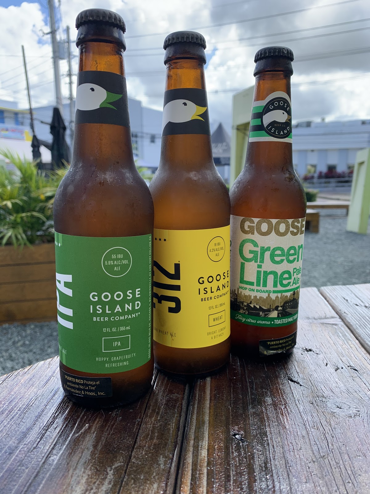 Amigos en La Esquinita