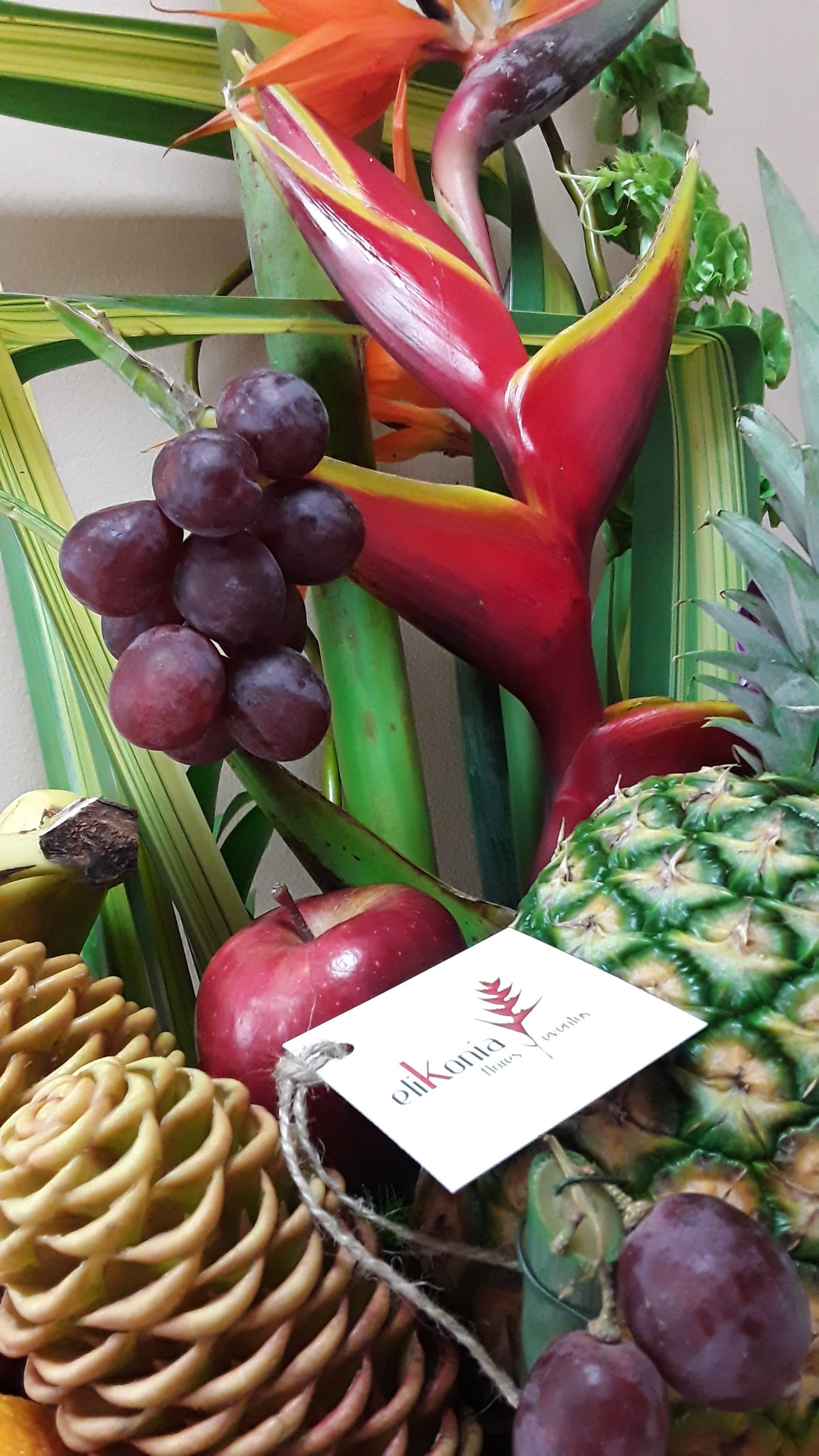 Colección de flores — Elikonia