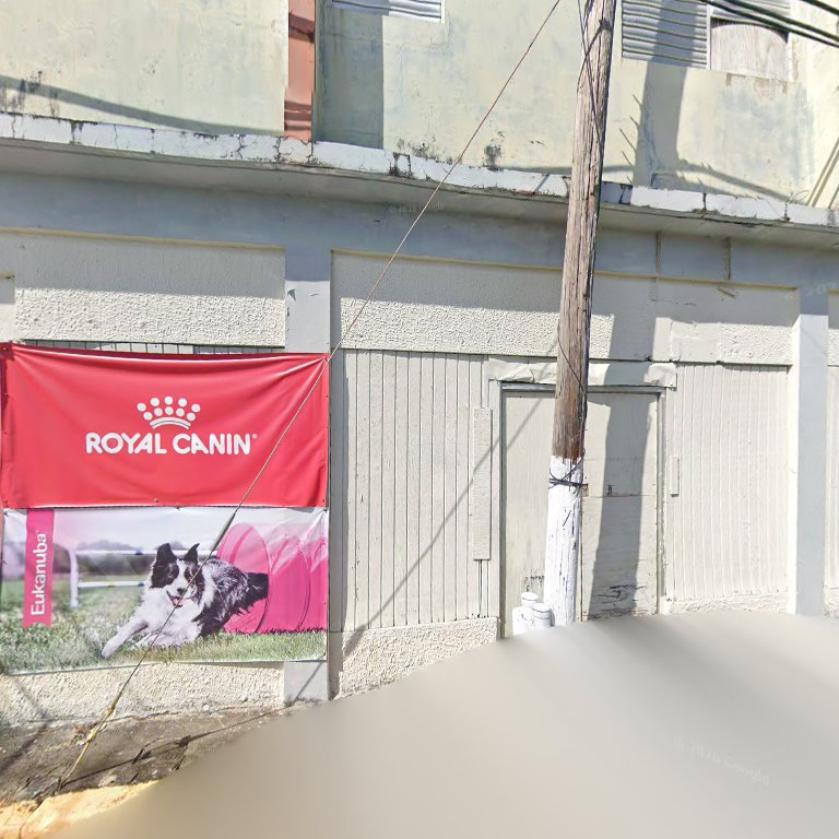 Hámsters y Roedores — Humacao Pet Center